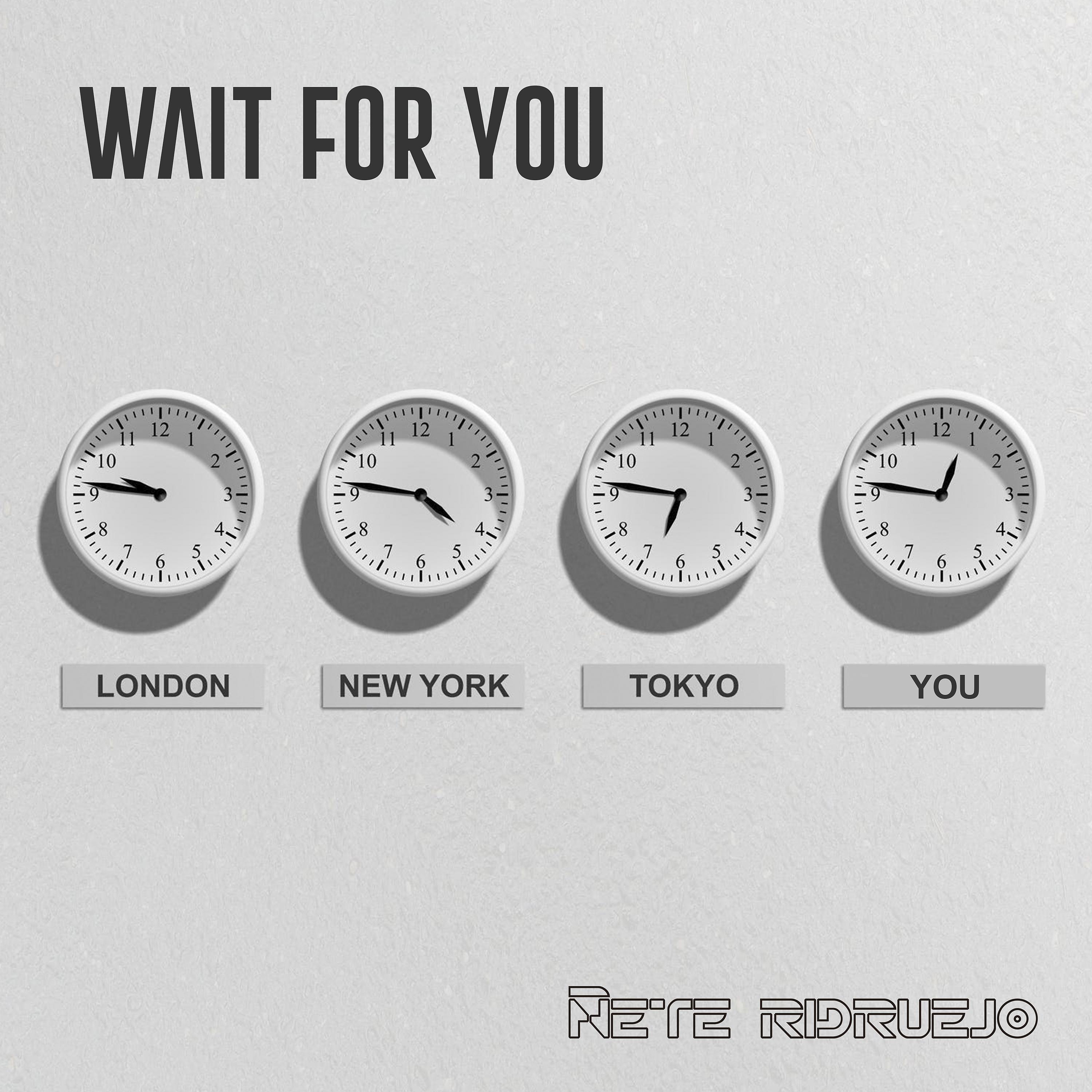 Постер альбома Wait for You