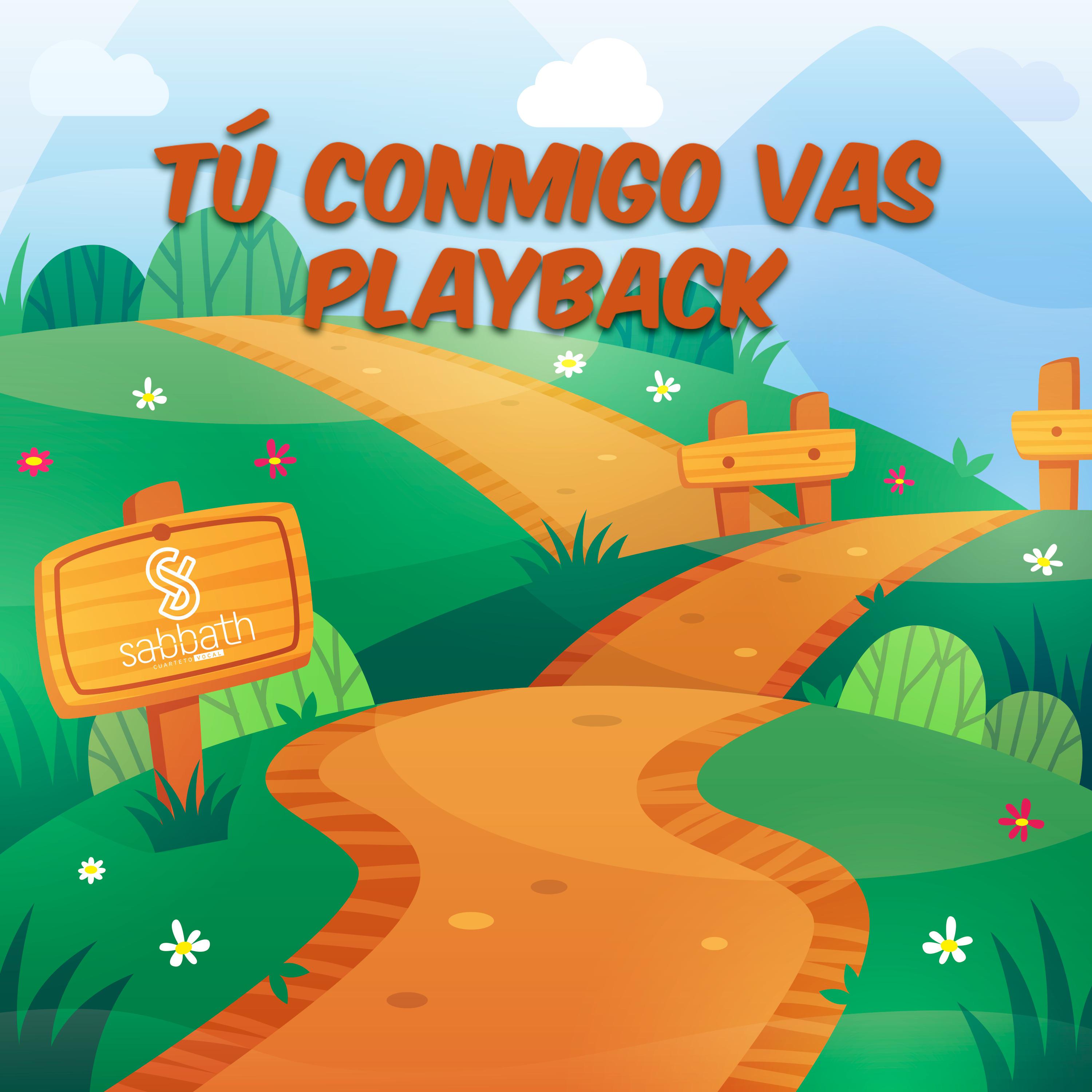 Постер альбома Tu Conmigo Vas (Playback)
