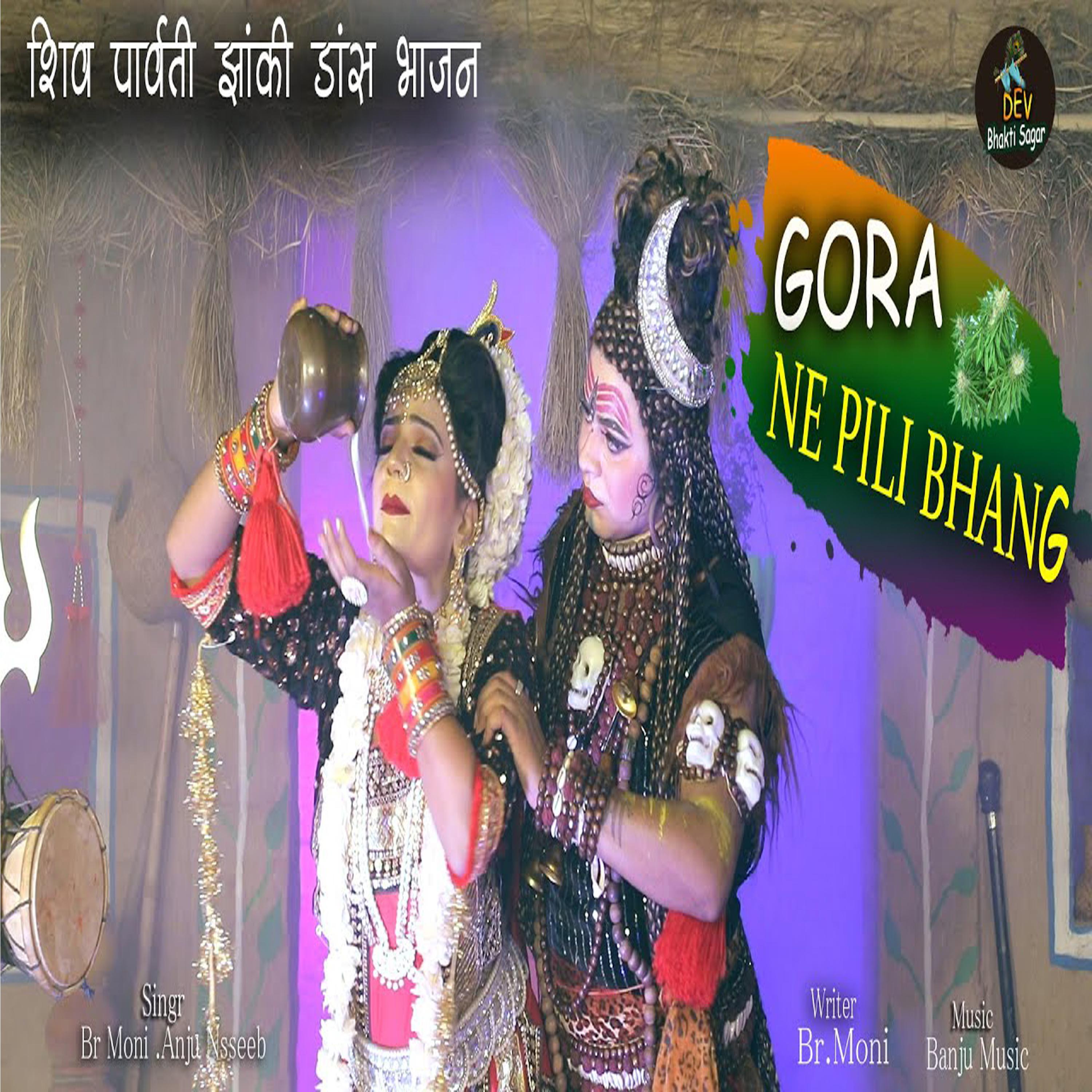 Постер альбома Gora Ne Pili Bhang