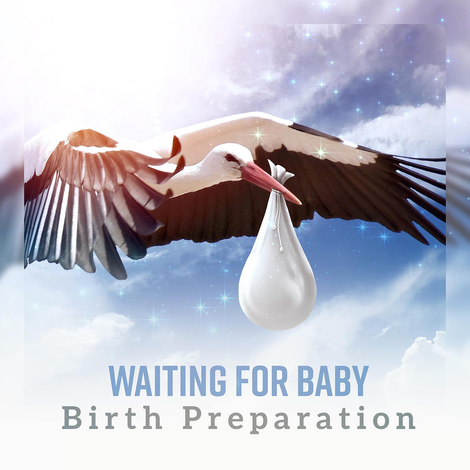 Постер альбома Waiting for Baby: Birth Preparation & Practicing Patience, Prenatal Yoga, Mindfulness Meditation Music, Relaxation