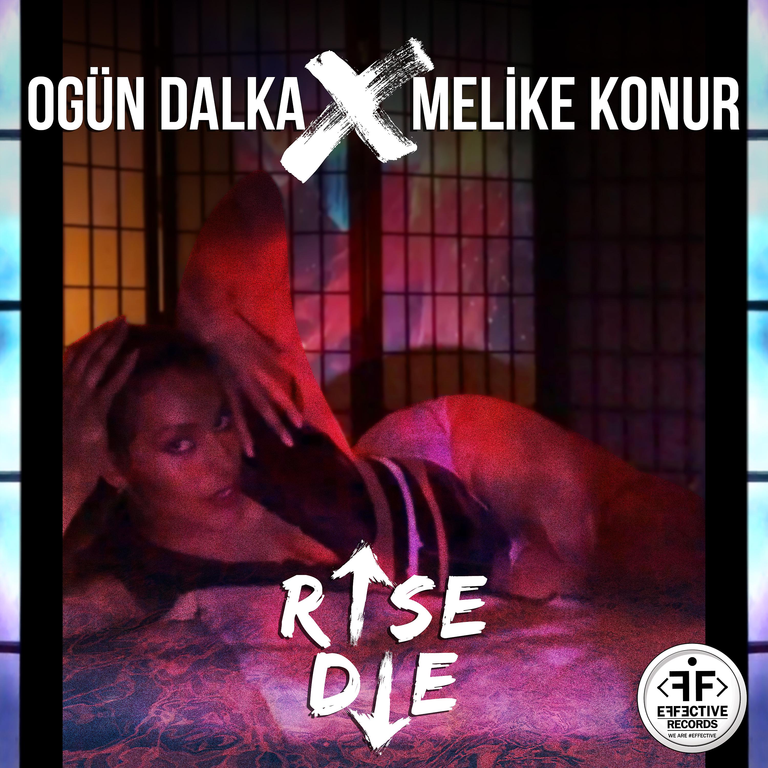 Постер альбома Rise Die