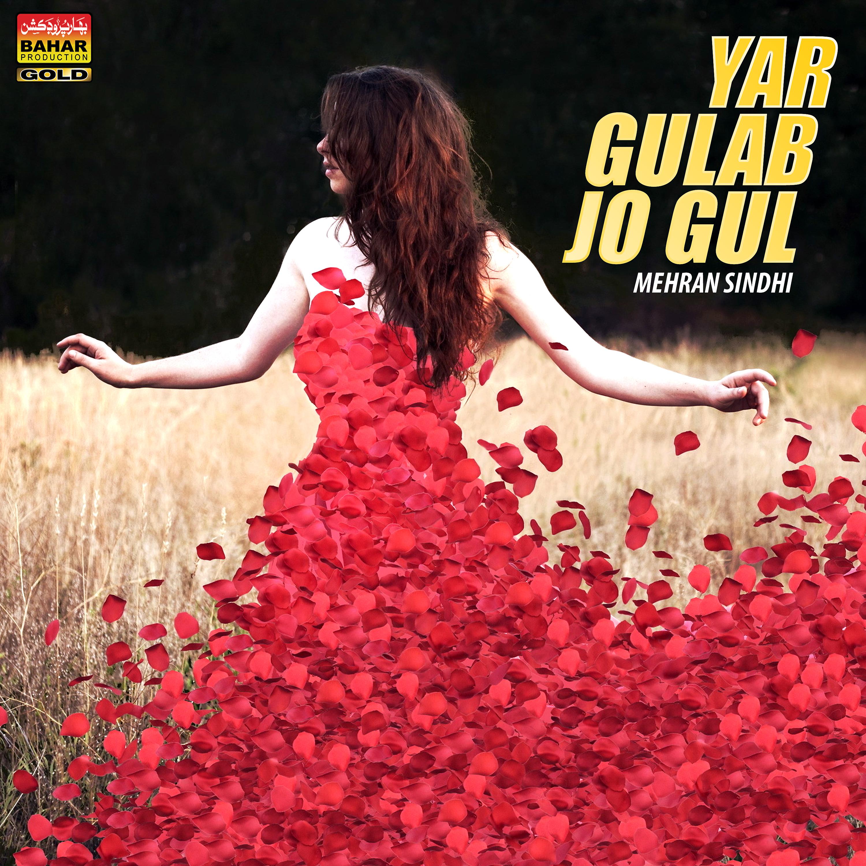 Постер альбома Yar Gulab Jo Gul