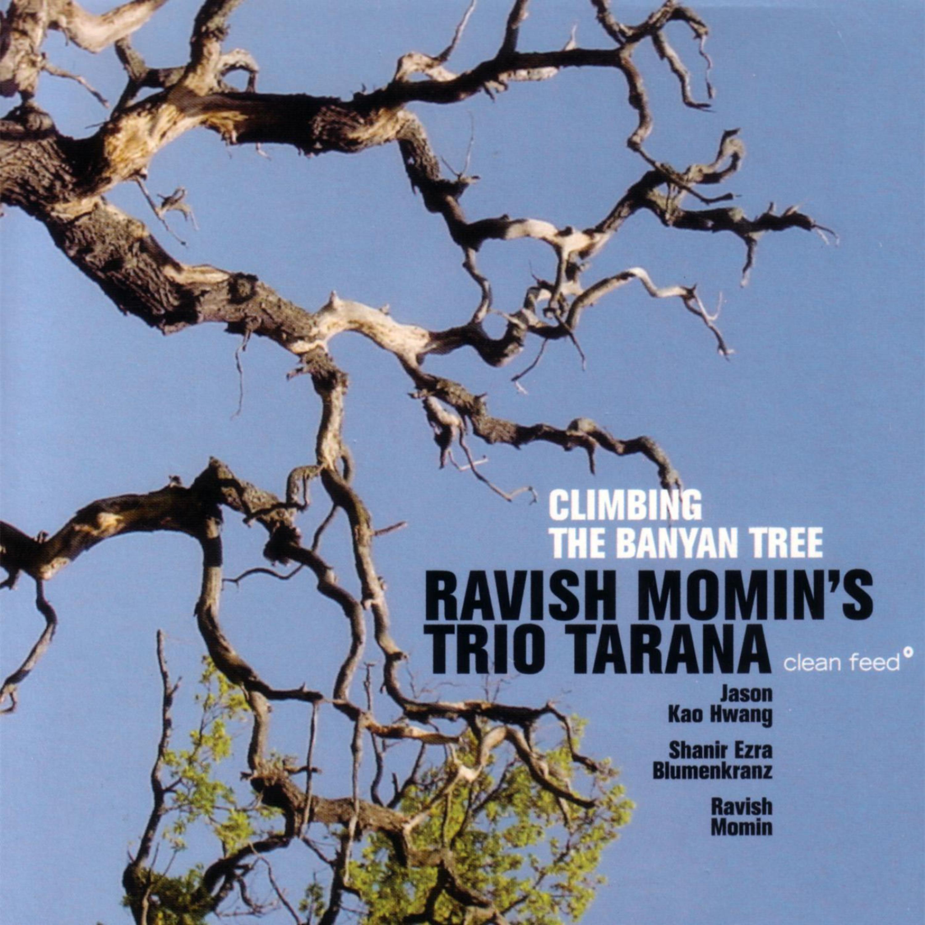 Постер альбома Climbing The Banyan Tree
