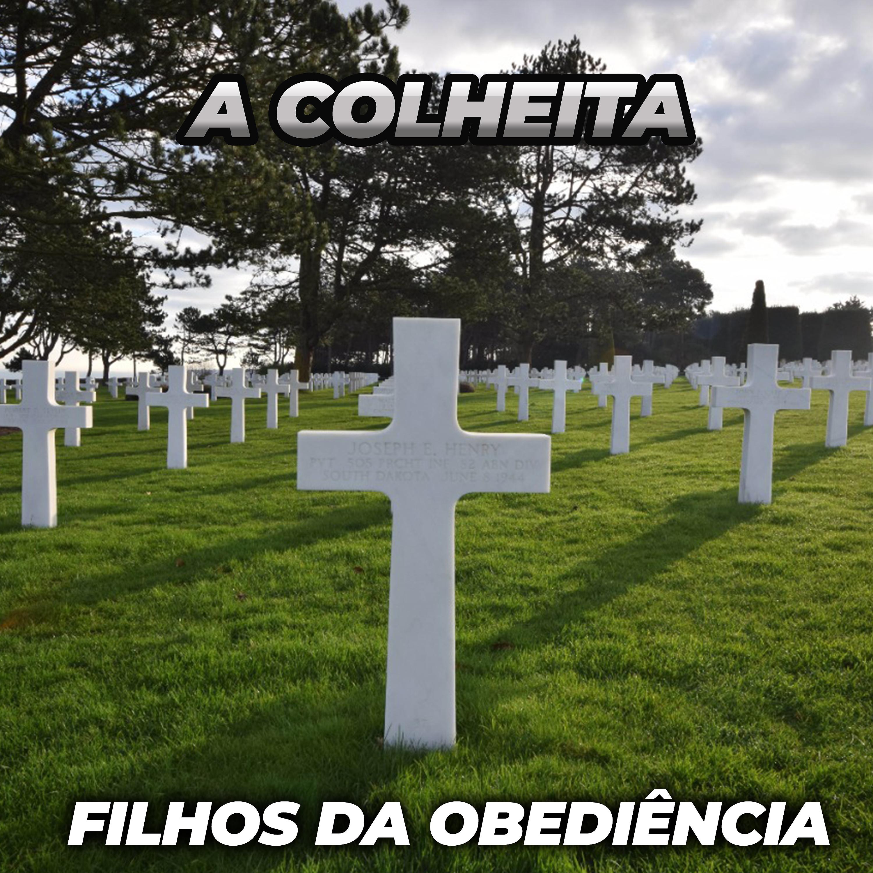 Постер альбома A Colheita