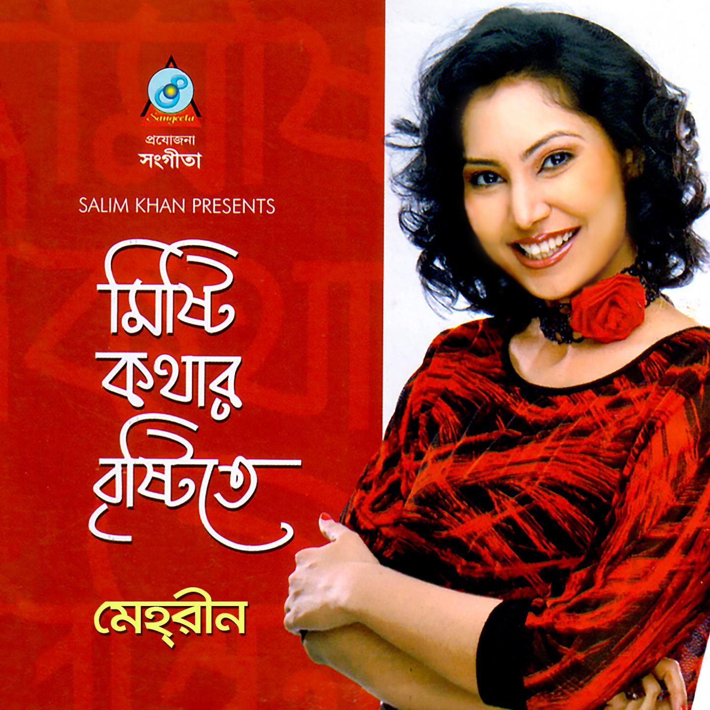 Постер альбома Misti Kothar Bristitey