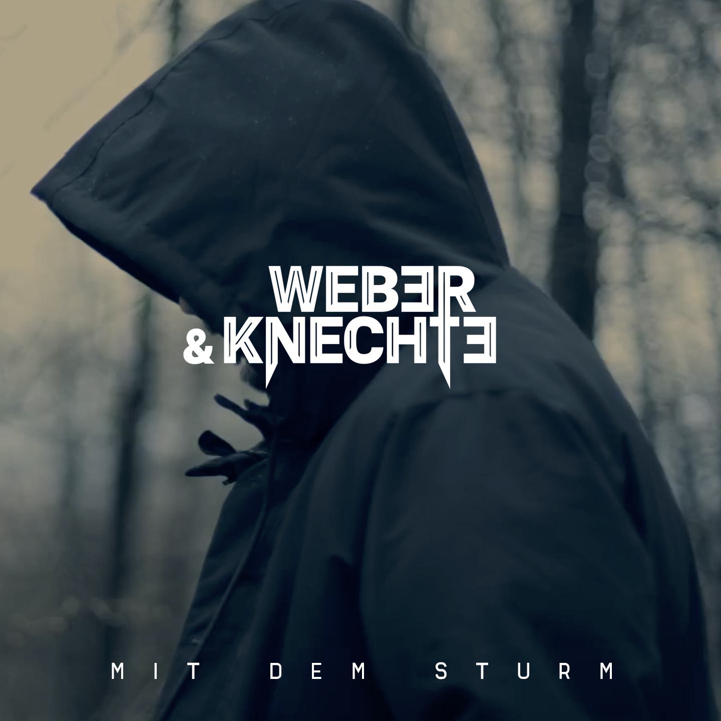 Постер альбома Mit dem Sturm