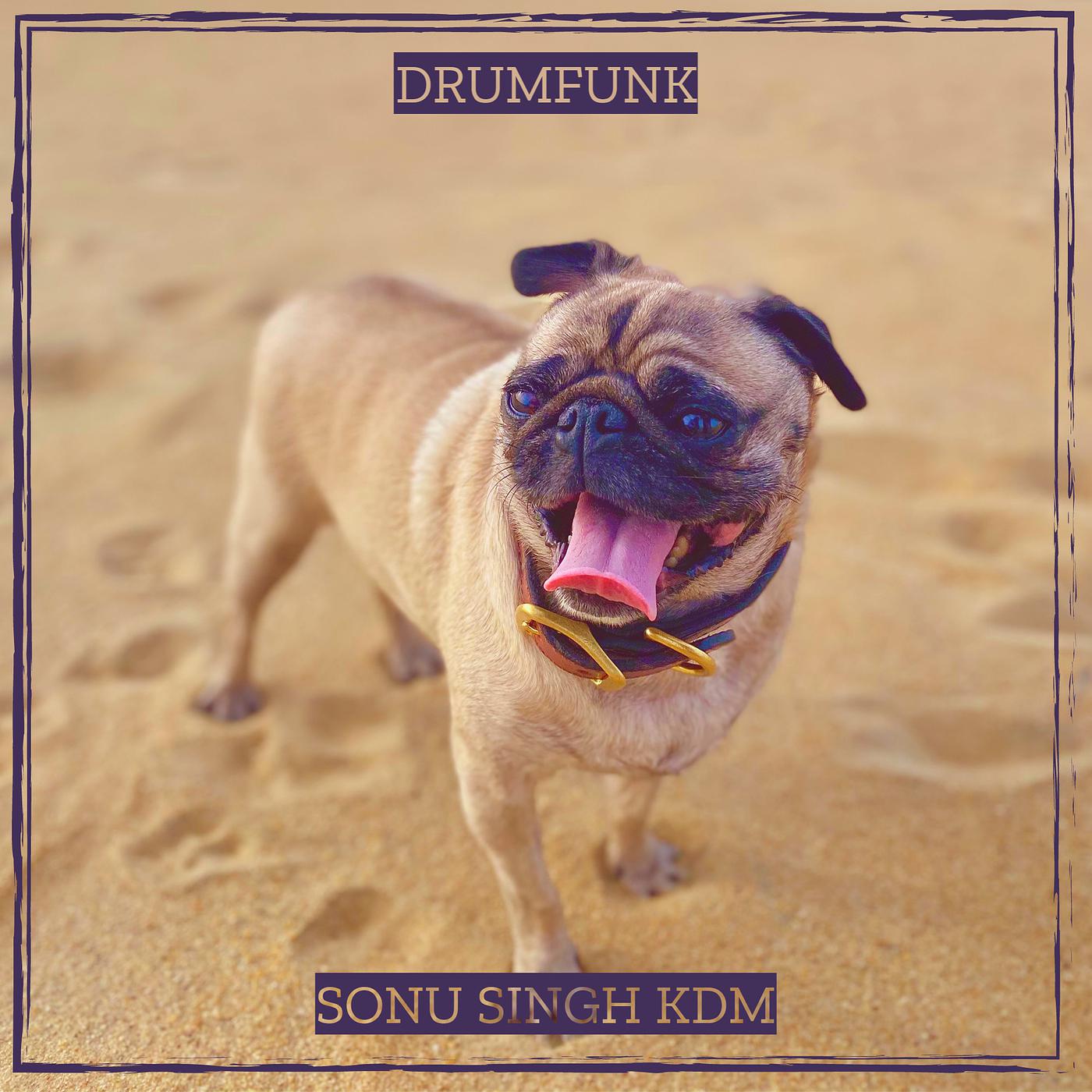 Постер альбома Drumfunk