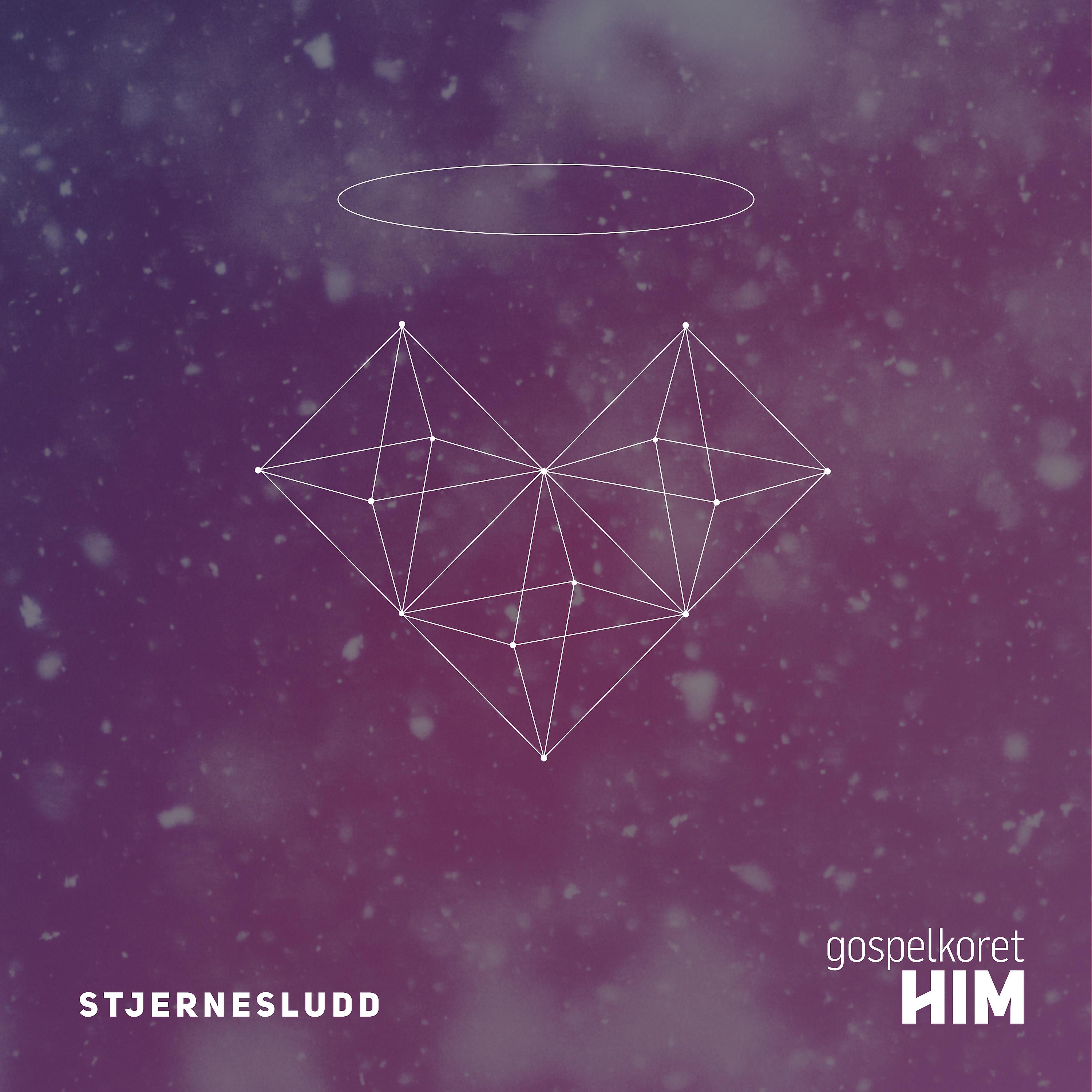 Постер альбома Stjernesludd
