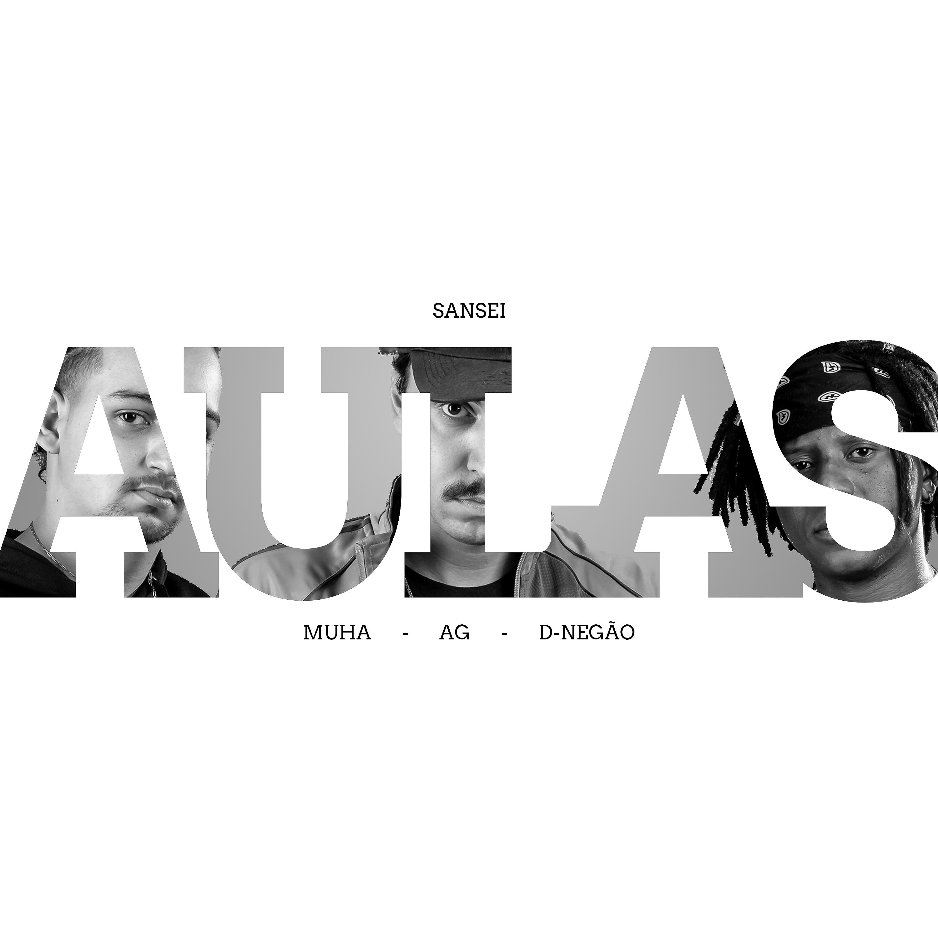 Постер альбома Aulas