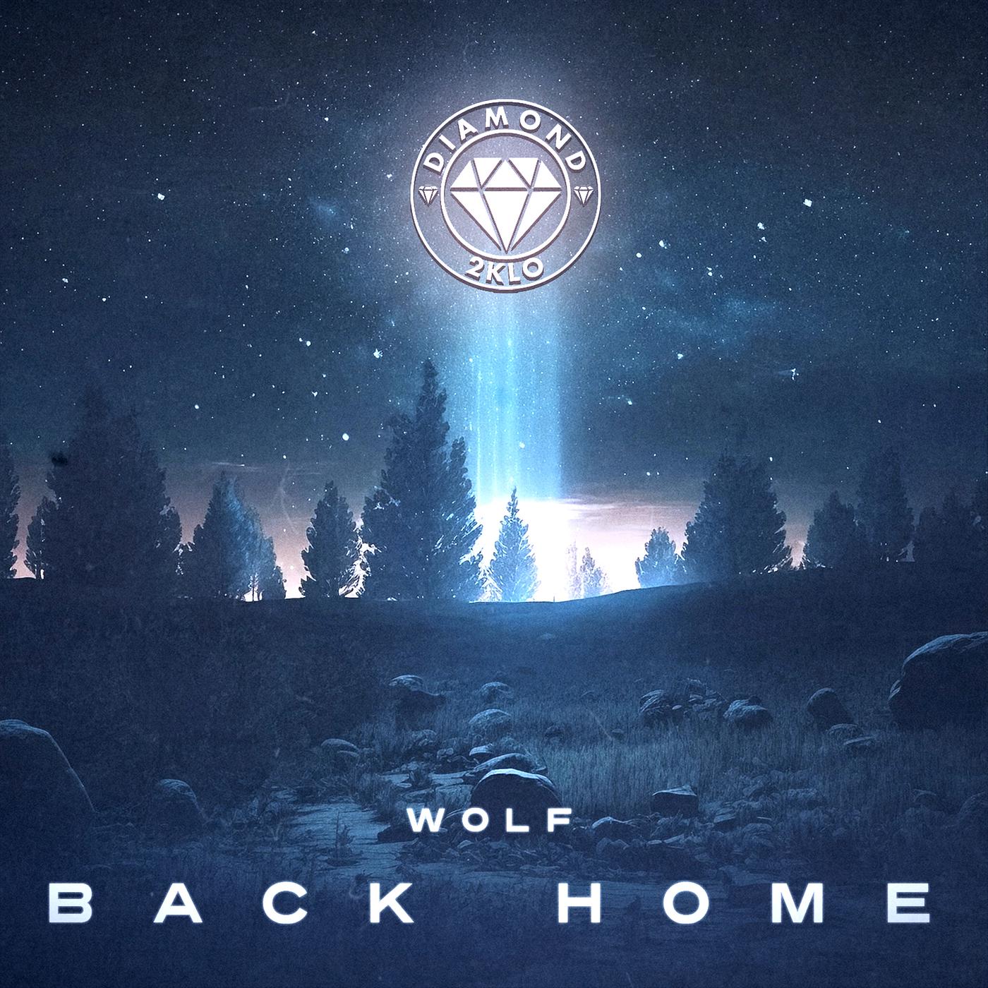 Постер альбома Wolf Back Home