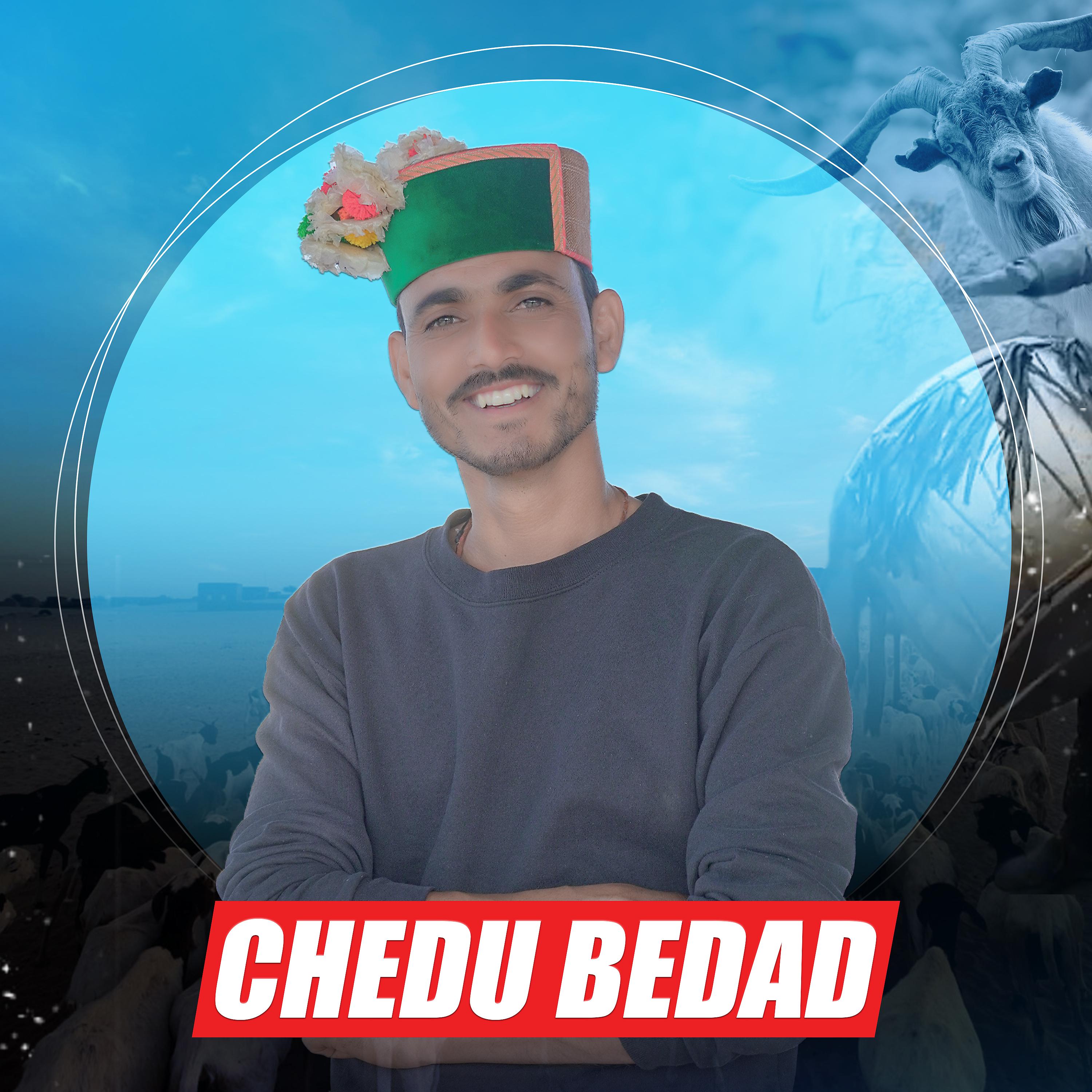 Постер альбома Chedu Bedad