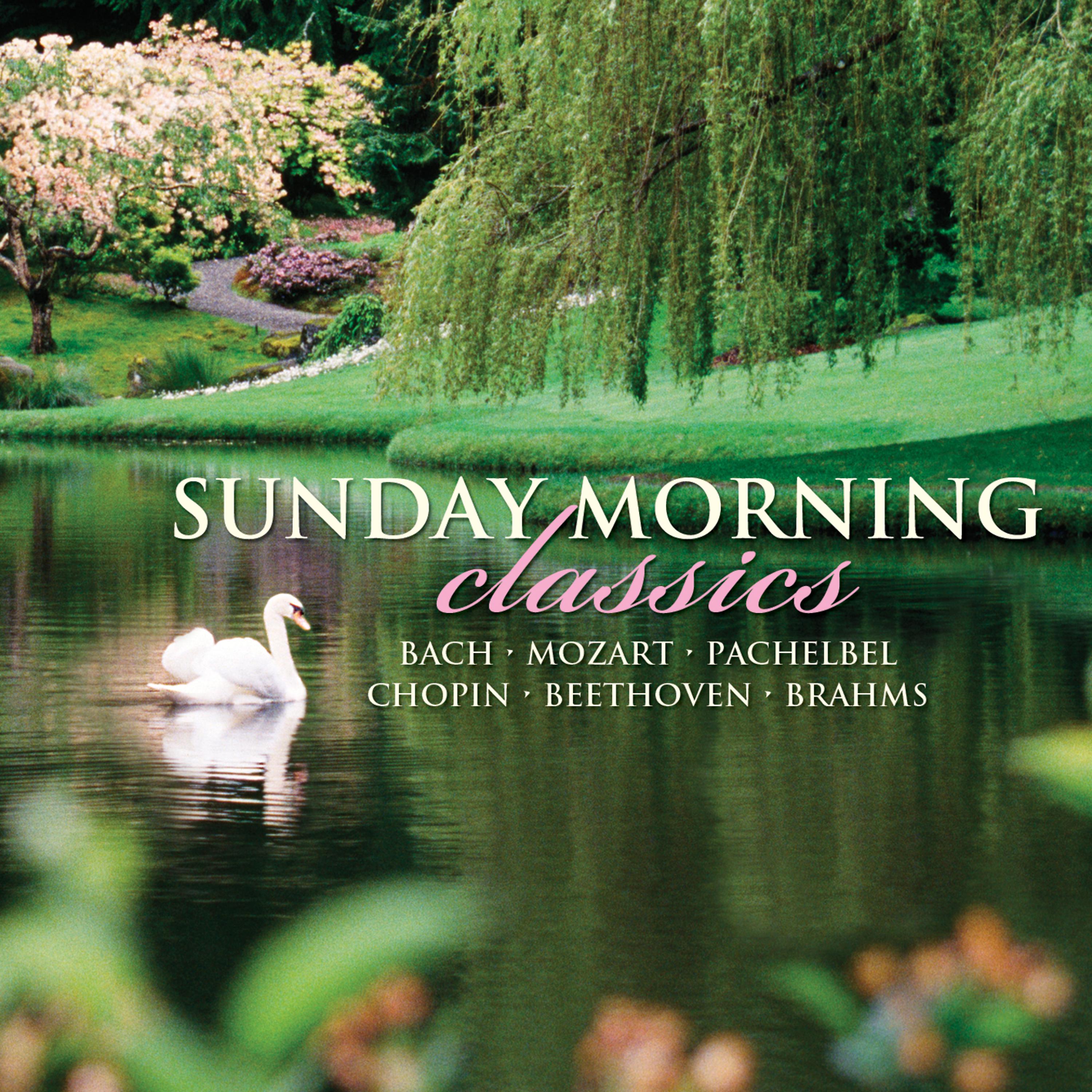 Постер альбома Sunday Morning Classics
