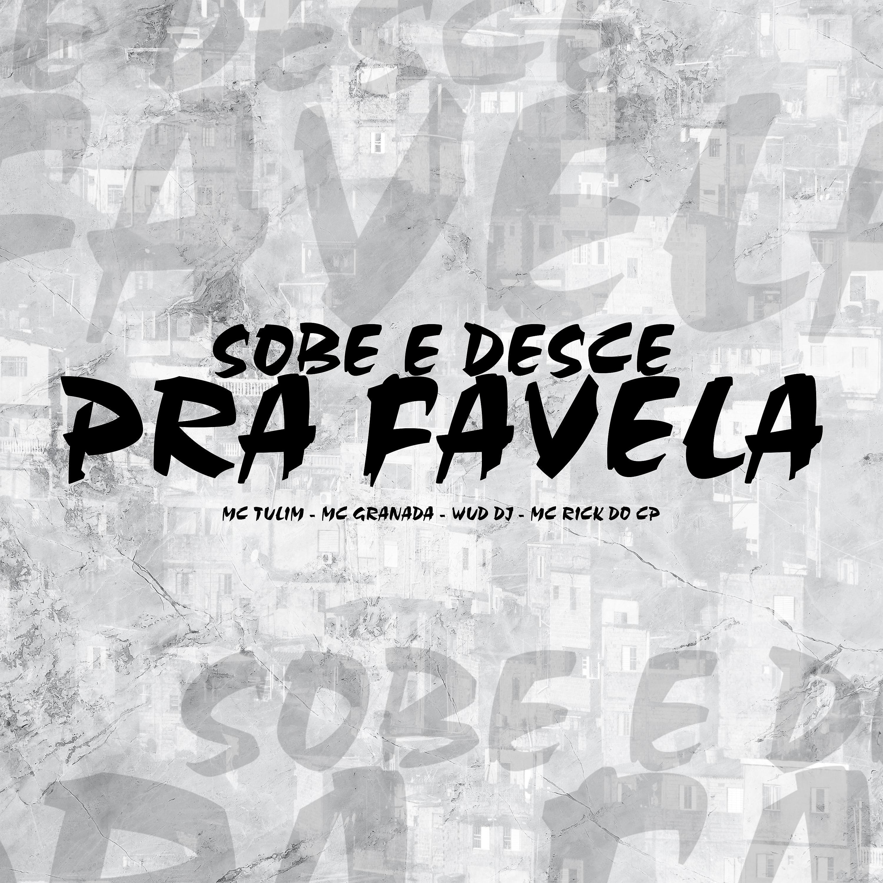 Постер альбома Sobe e Desce pra Favela