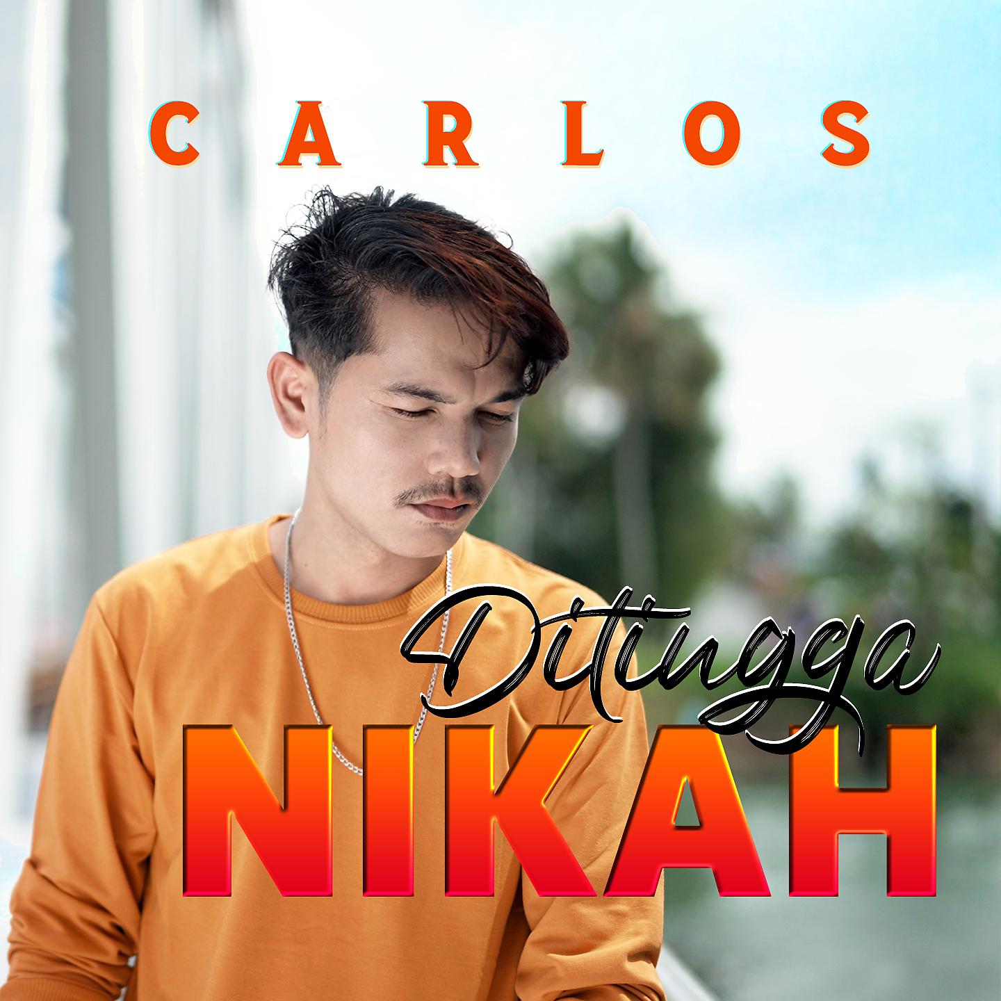 Постер альбома Ditingga Nikah