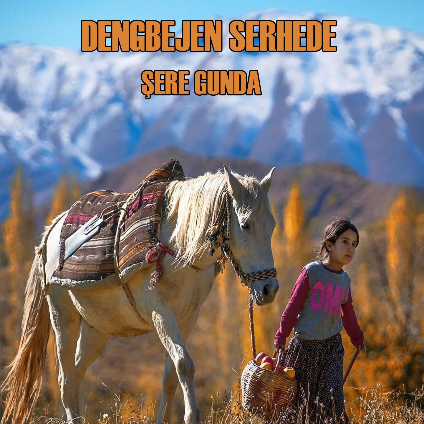 Постер альбома Şere Gunda