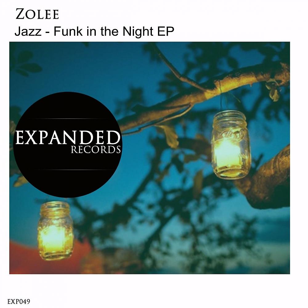 Постер альбома Jazz - Funk In The Night EP