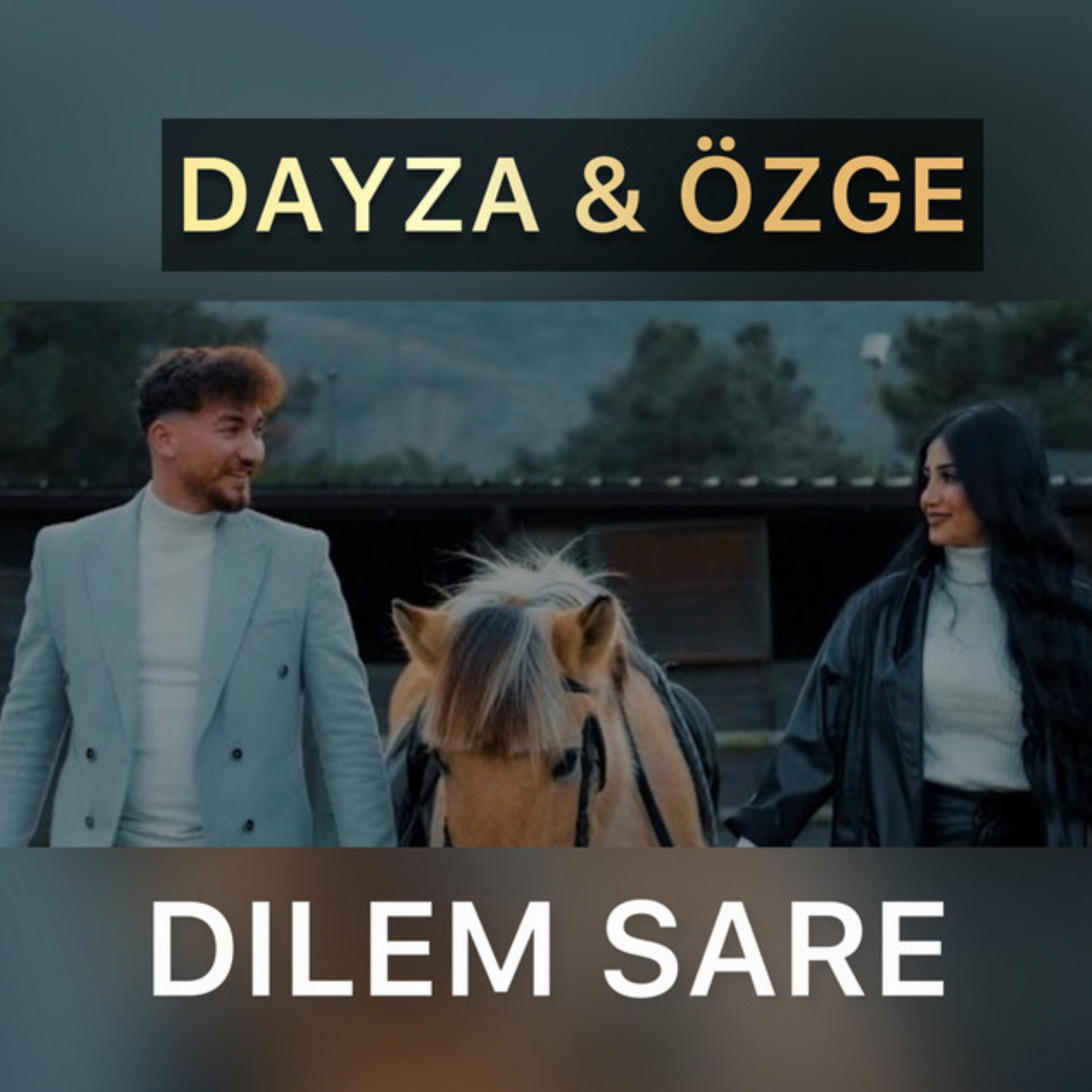 Постер альбома Dılem Sare
