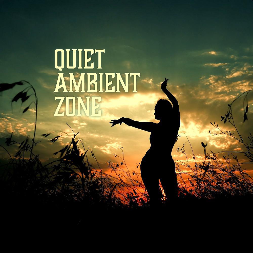 Постер альбома Quiet Ambient Zone