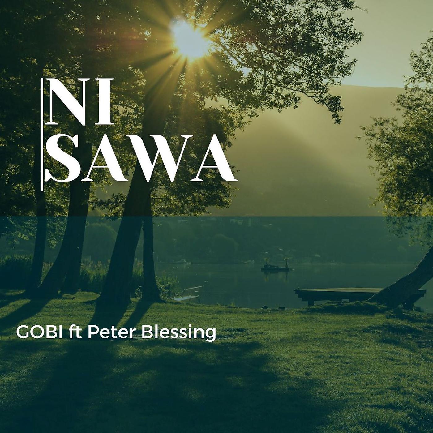 Постер альбома Ni Sawa