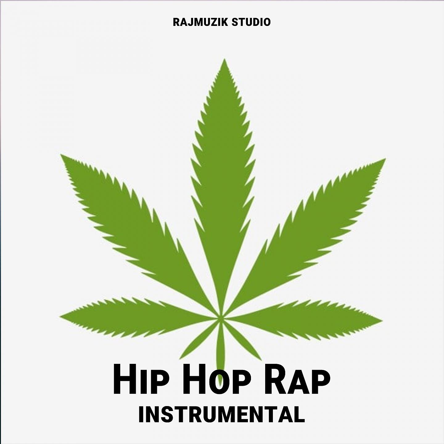 Постер альбома Hip Hop Rap