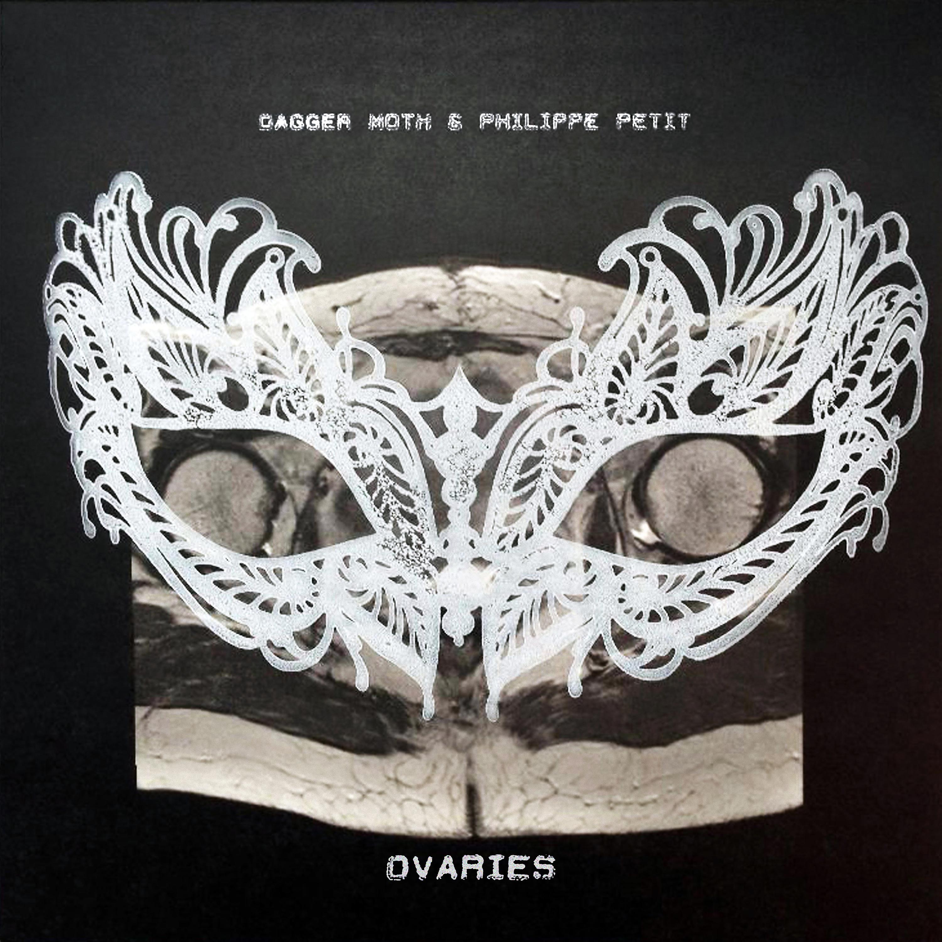 Постер альбома Ovaries