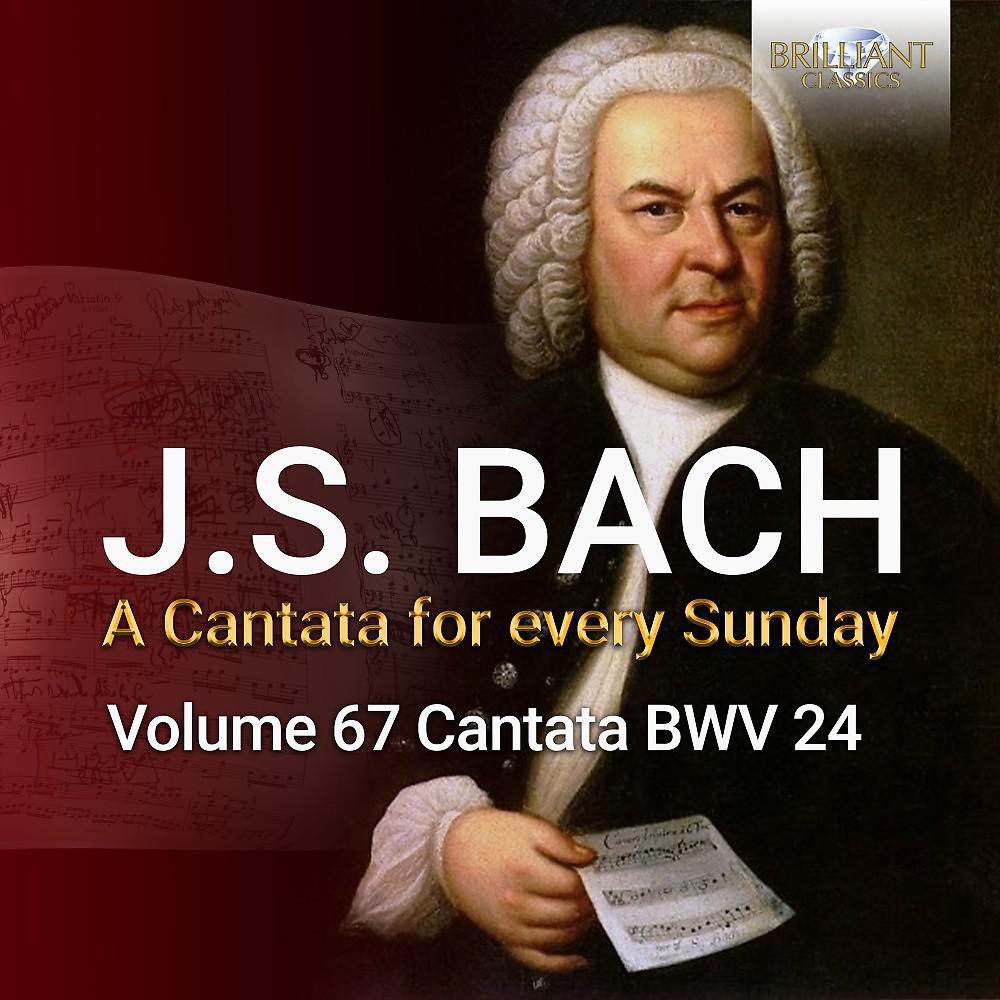 Постер альбома J.S. Bach: Ein ungefärbt Gemüte, BWV 24