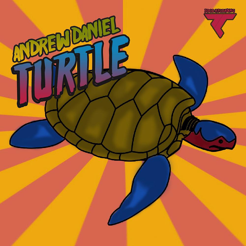 Постер альбома Turtle