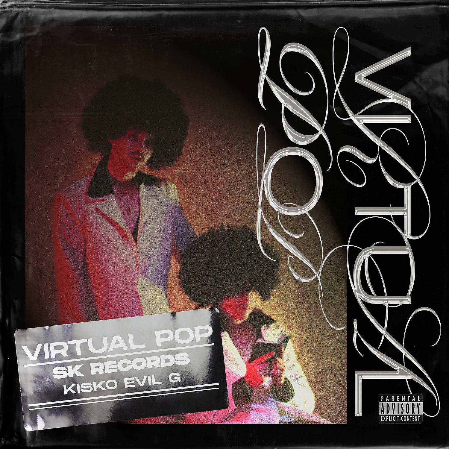 Постер альбома Virtual Pop