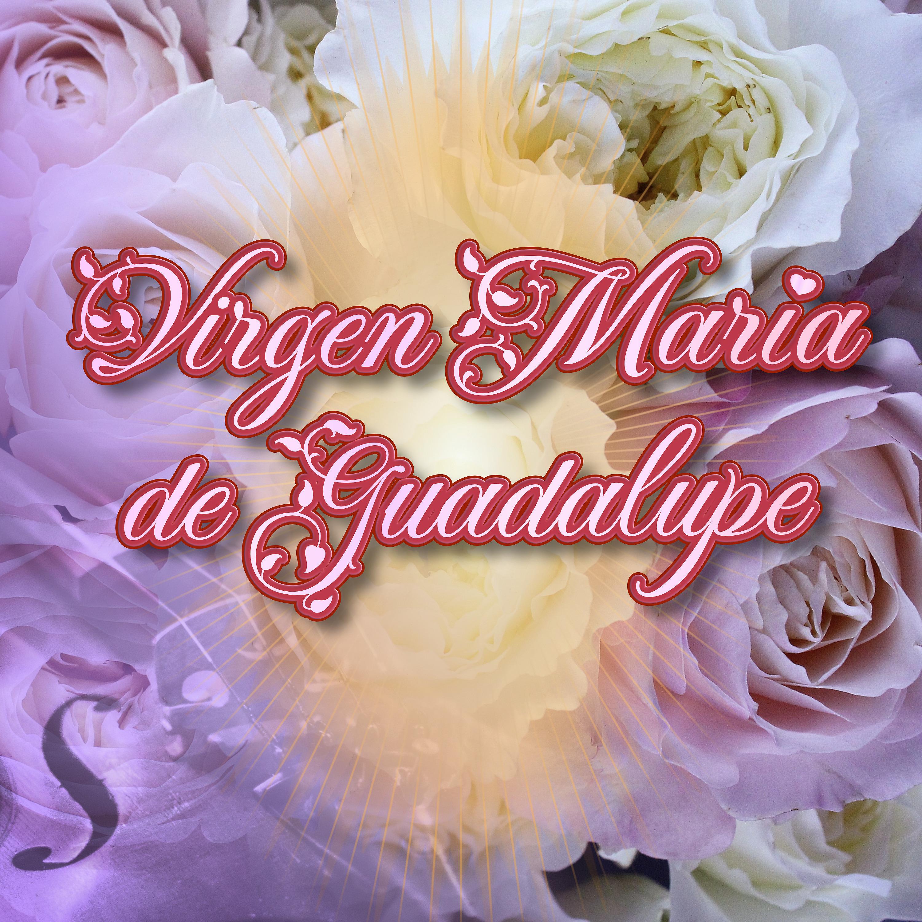 Постер альбома Virgen María de Guadalupe