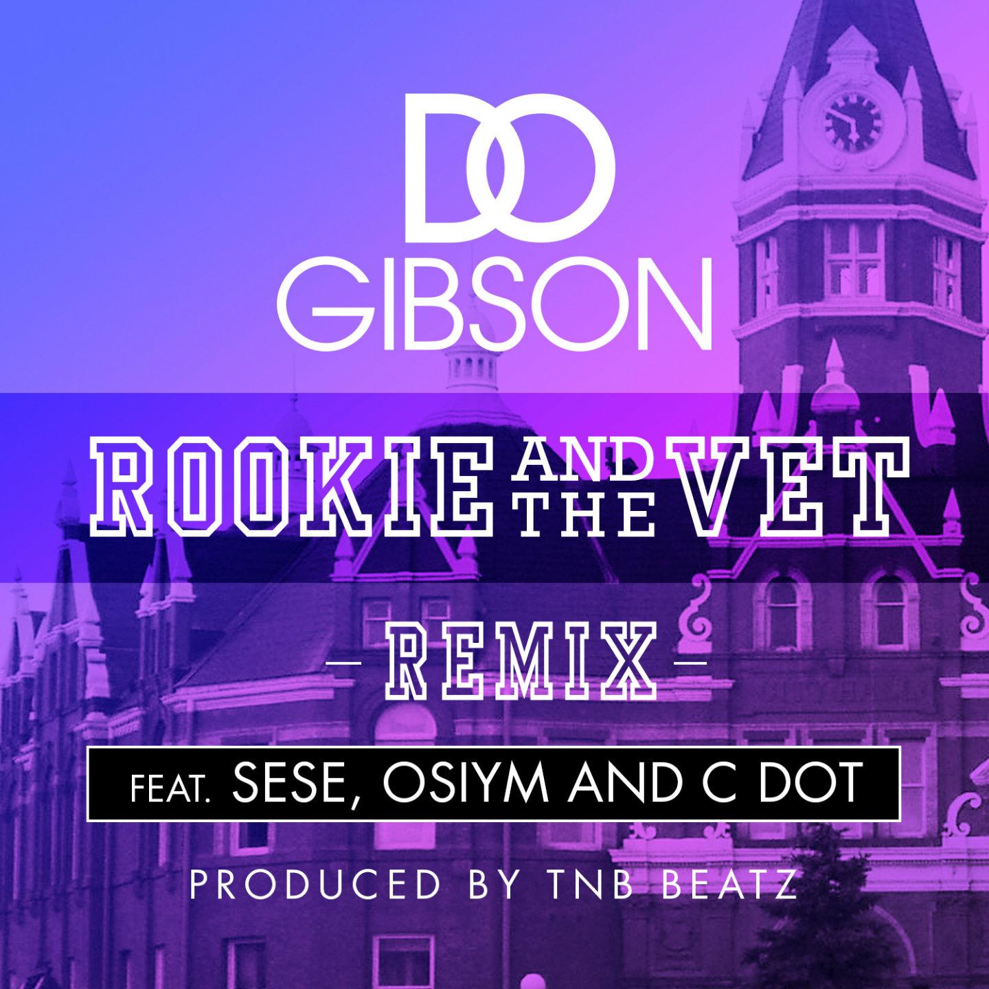 Постер альбома Rookie and the Vet