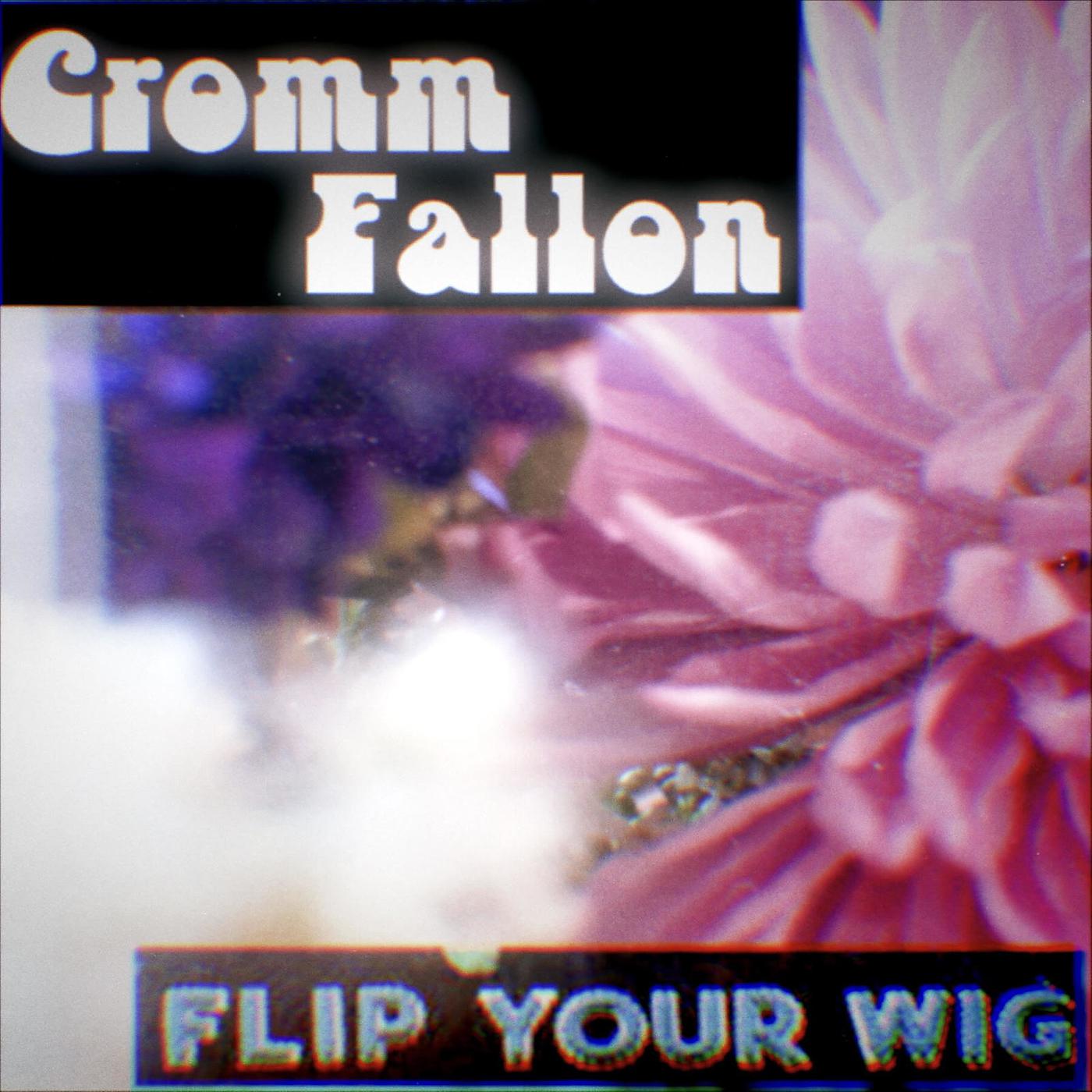 Постер альбома Flip Your Wig