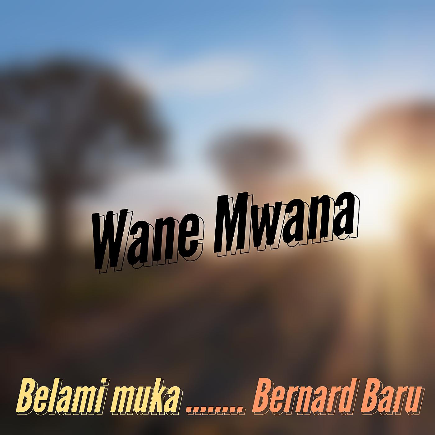 Постер альбома Wane Mwana