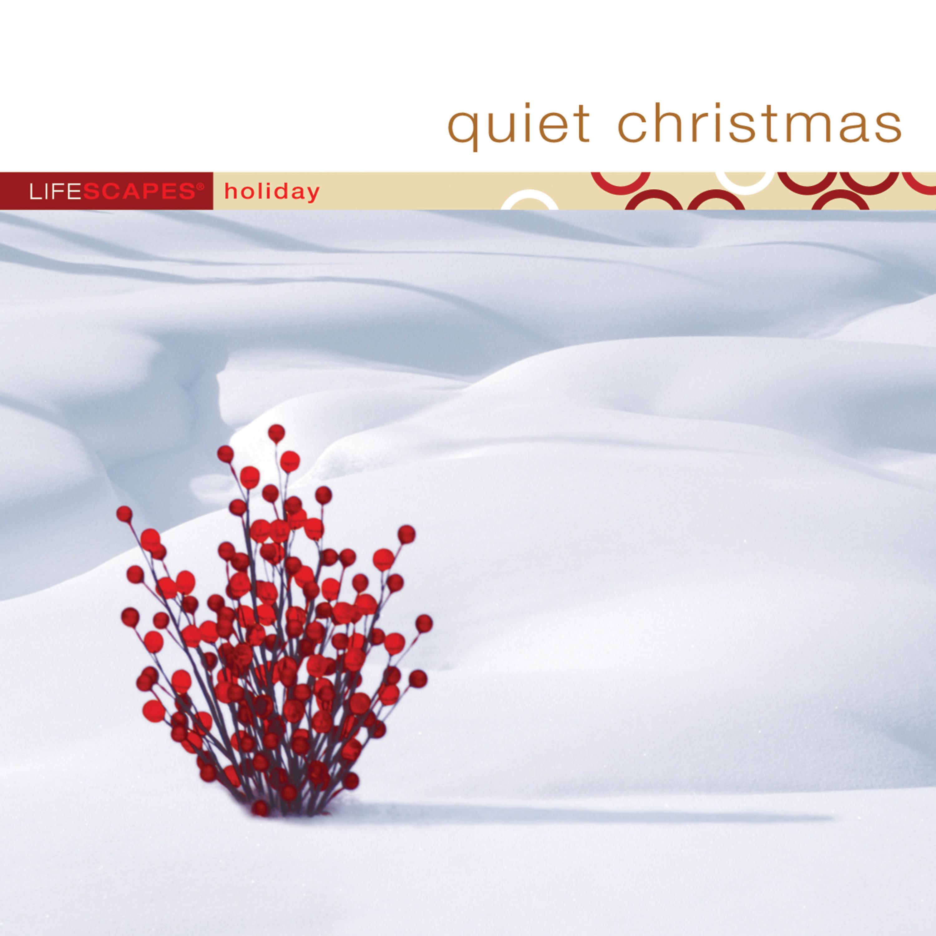 Постер альбома Quiet Christmas