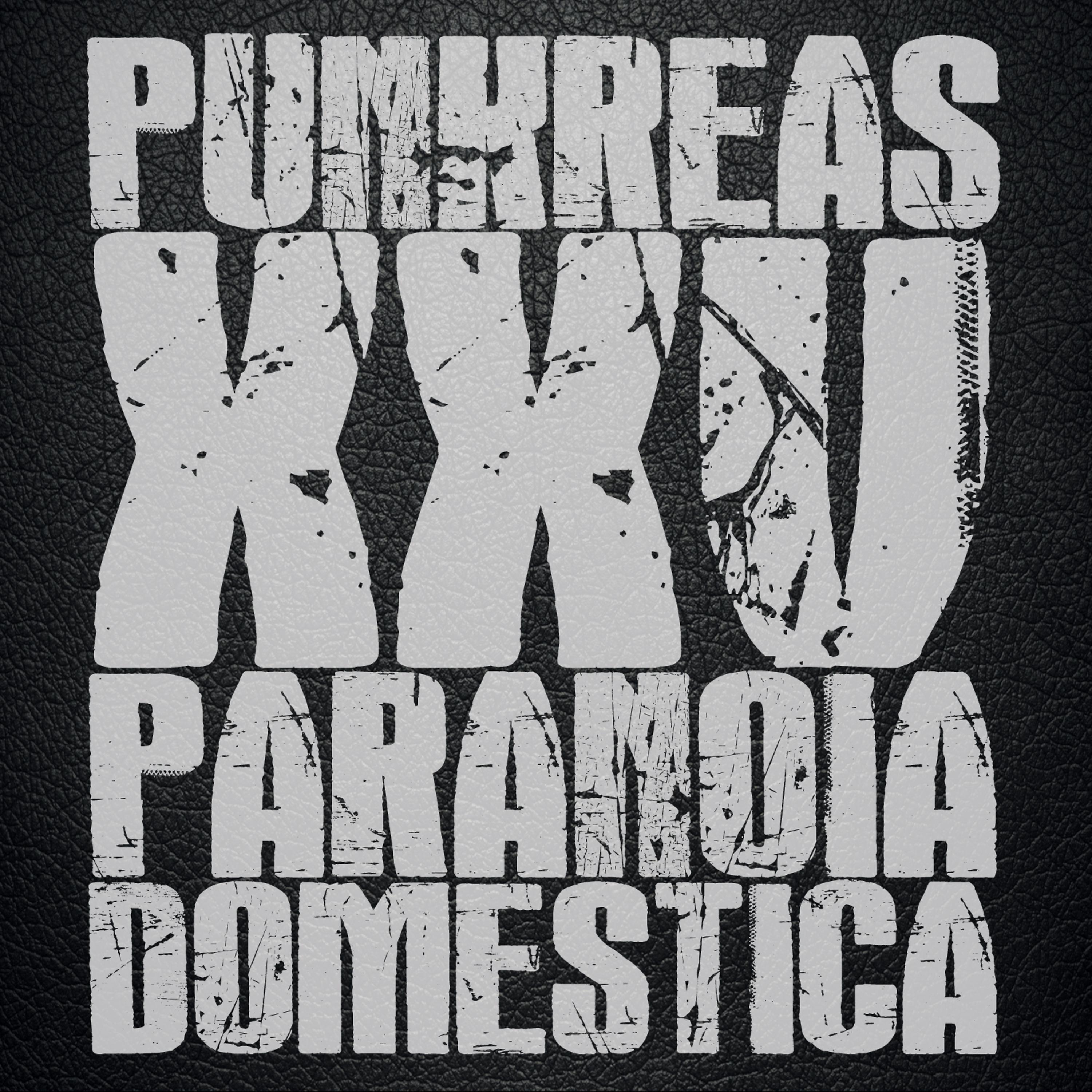 Постер альбома XXV Paranoia Domestica
