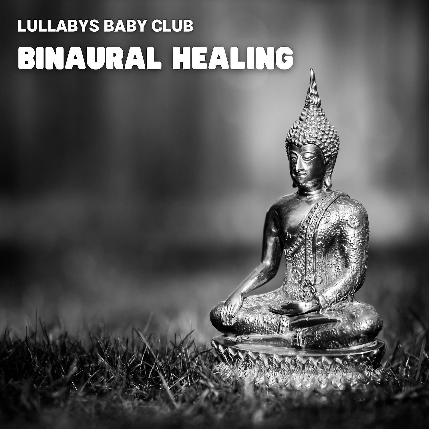Постер альбома Binaural Healing