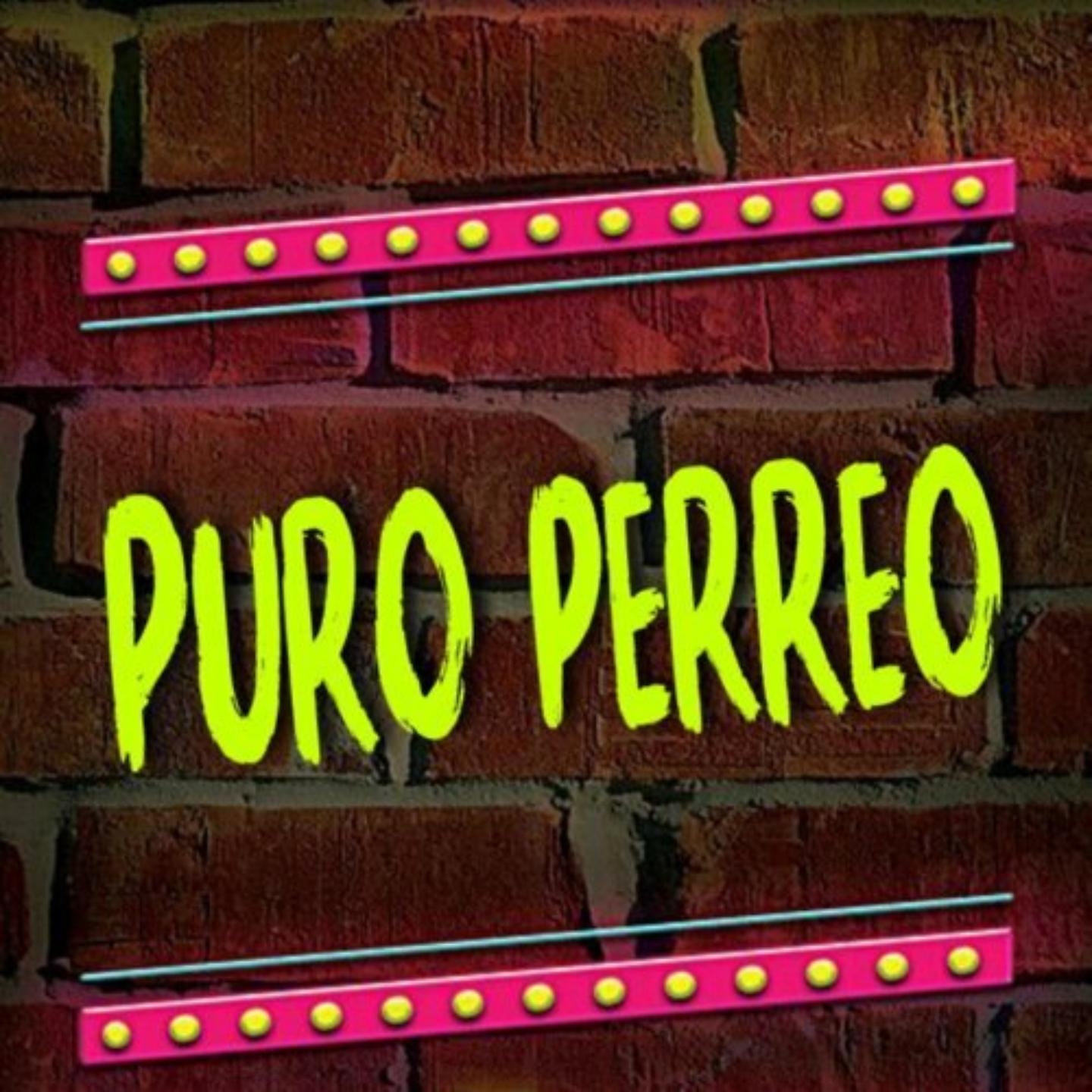 Постер альбома Puro Perreo