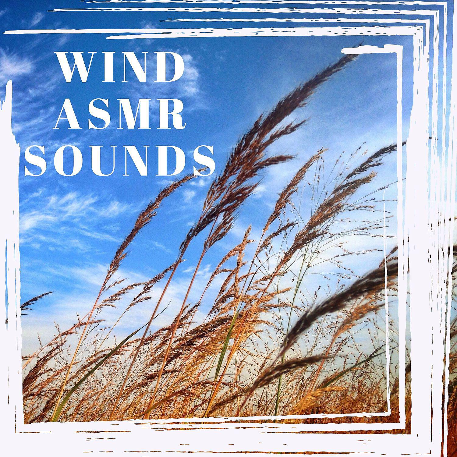 Постер альбома Wind ASMR Sounds - Essential White Noise Ambient