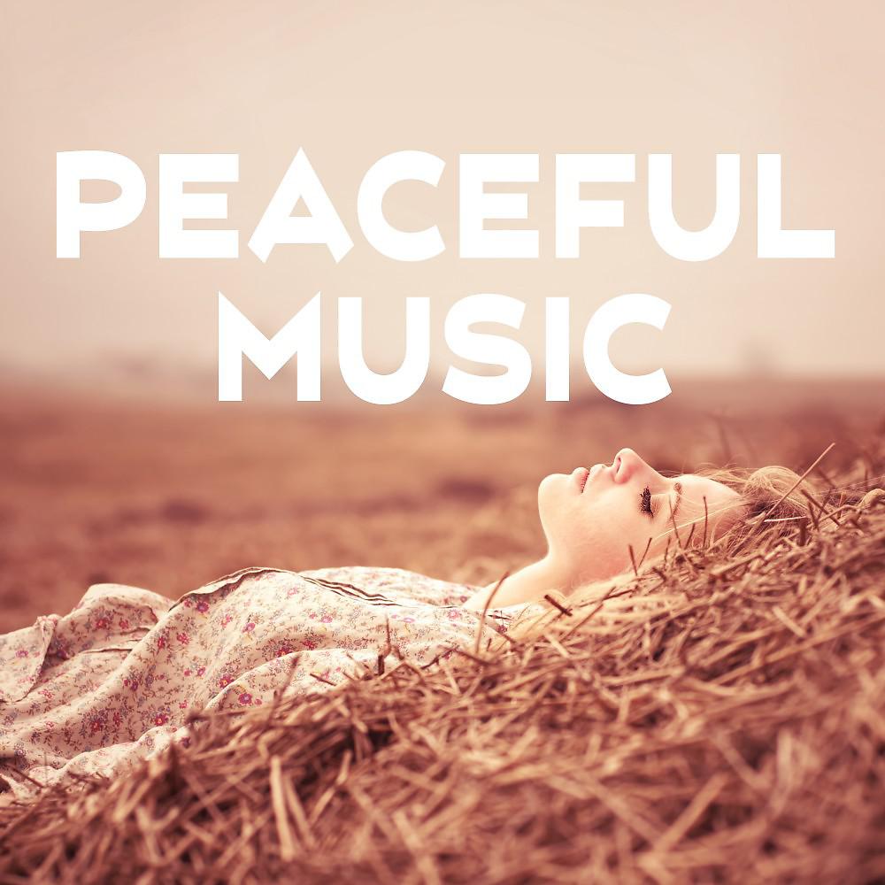 Постер альбома Peaceful Music