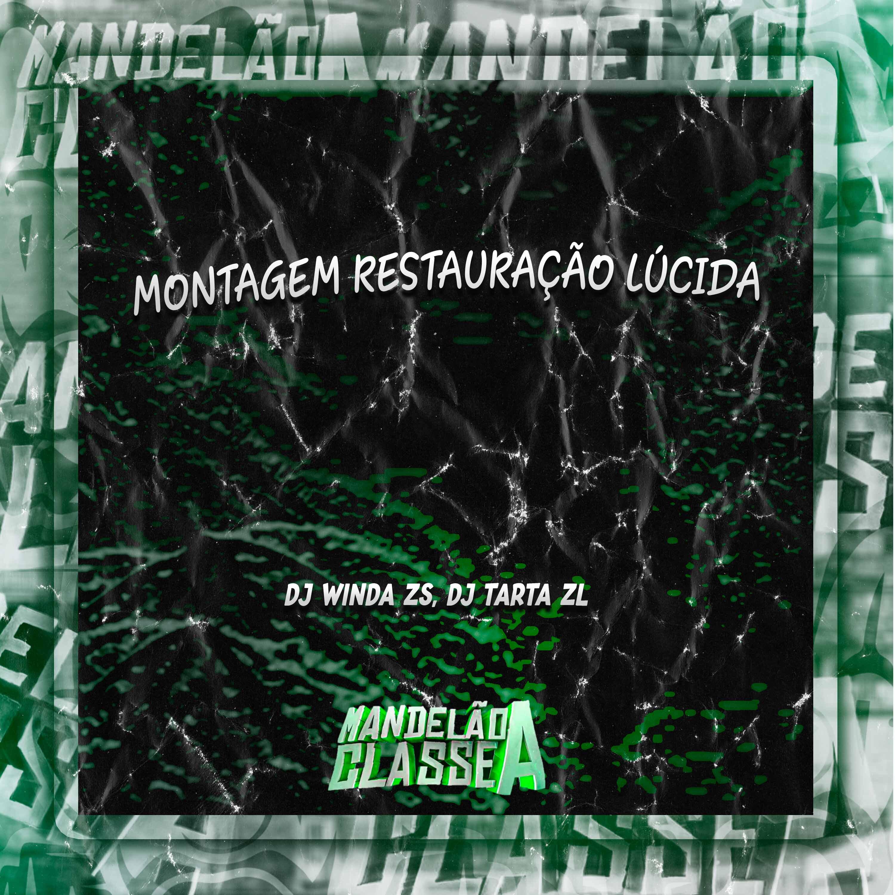 Постер альбома Montagem Restauração Lúcida