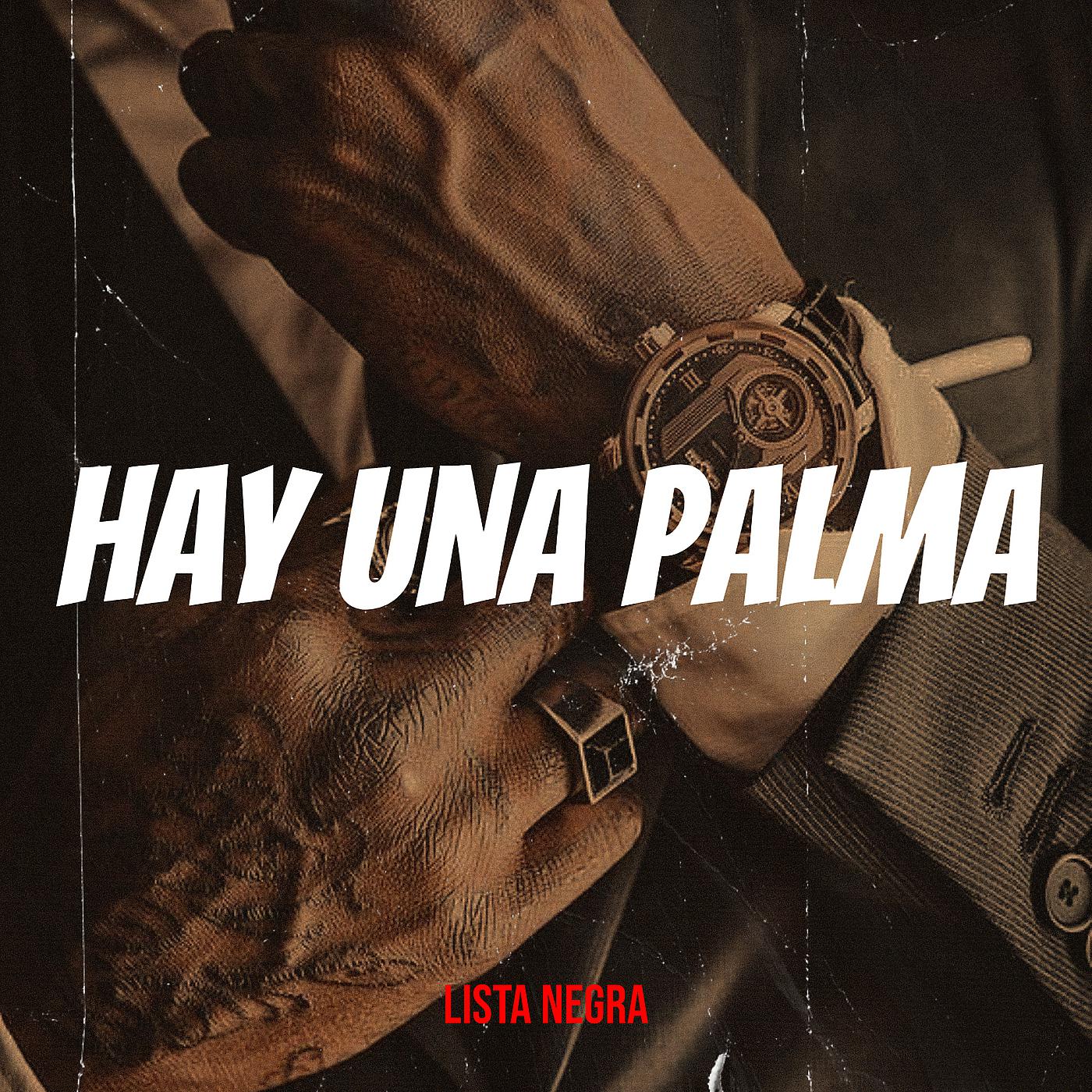 Постер альбома Hay Una Palma