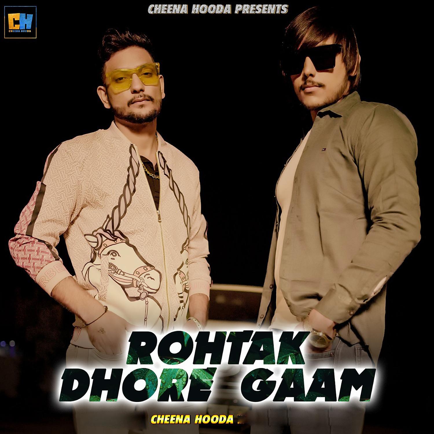 Постер альбома Rohtak Dhore Gaam
