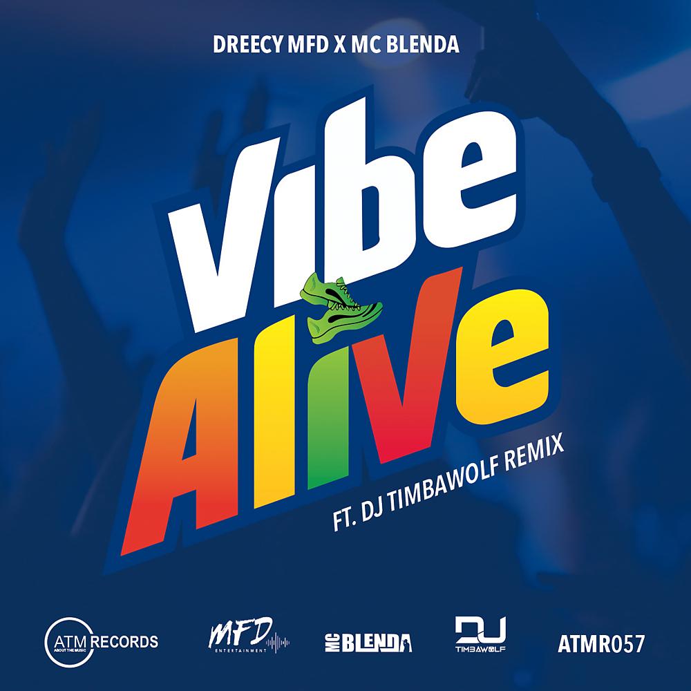 Постер альбома Vibe Alive