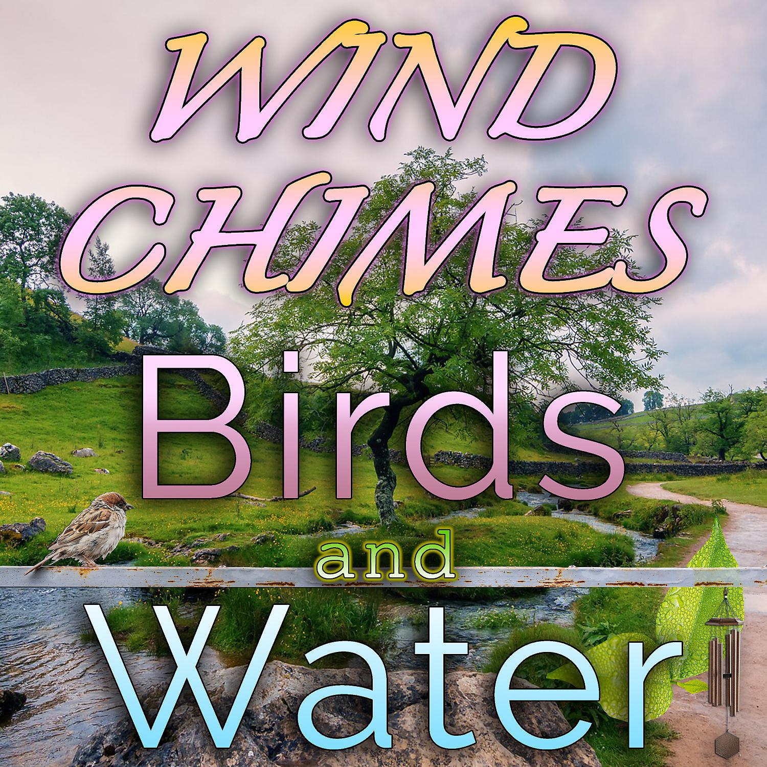 Постер альбома Wind Chimes, Birds and Water