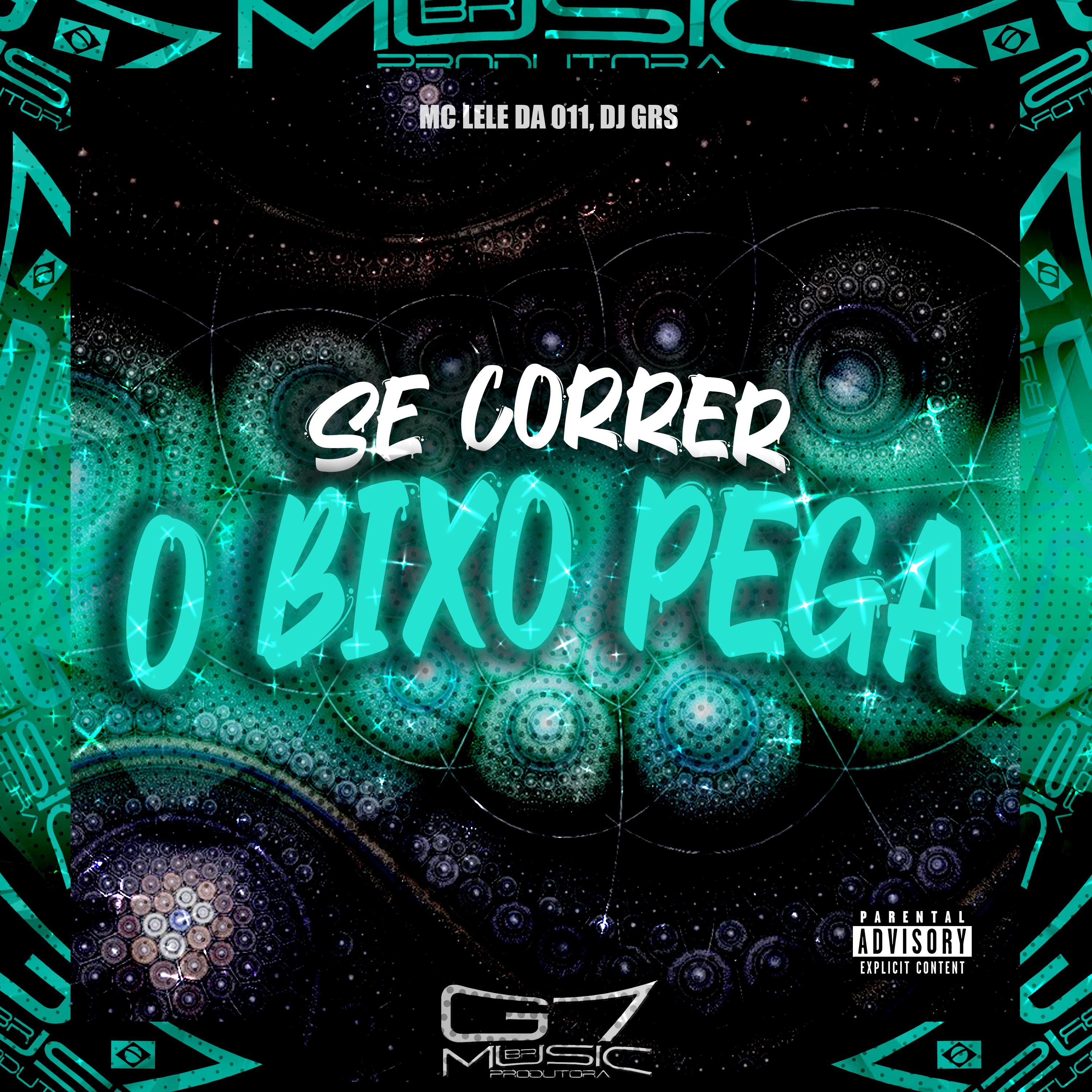Постер альбома Se Correr o Bixo Pega