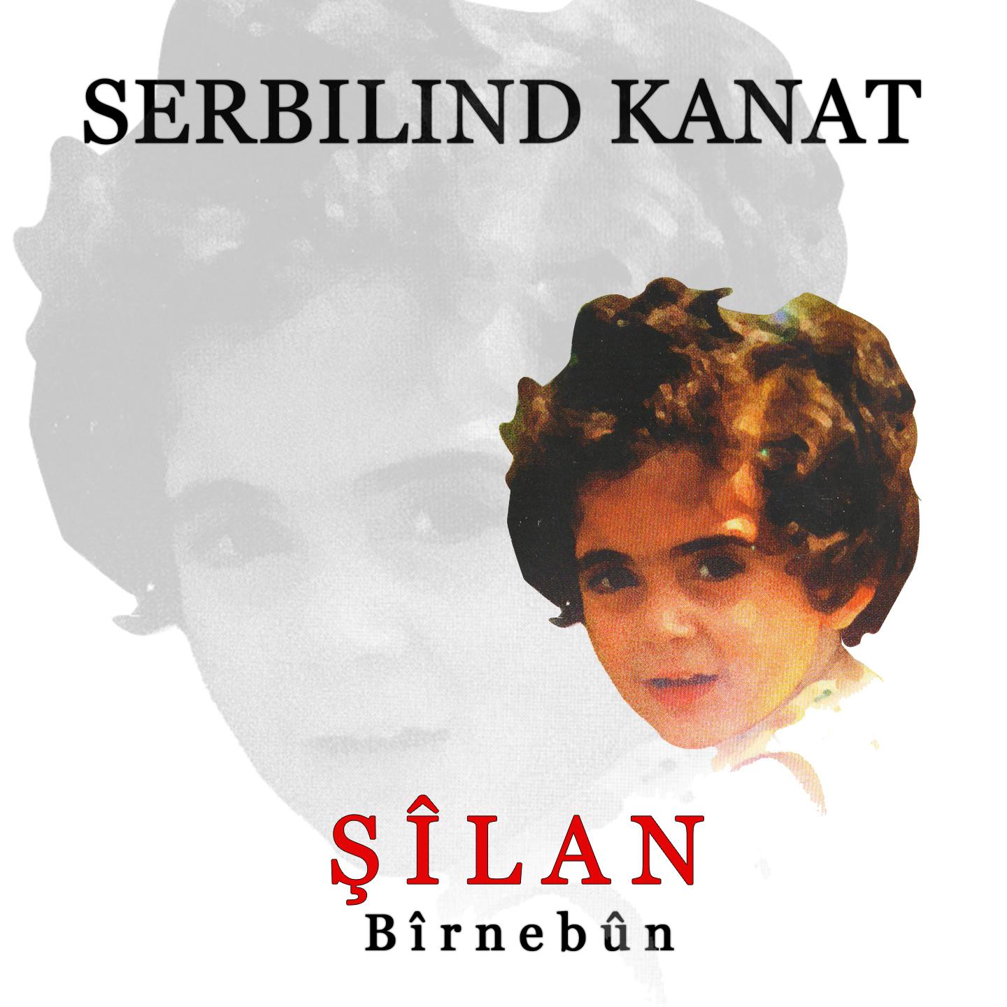 Постер альбома Şîlan / Bîrnebûn