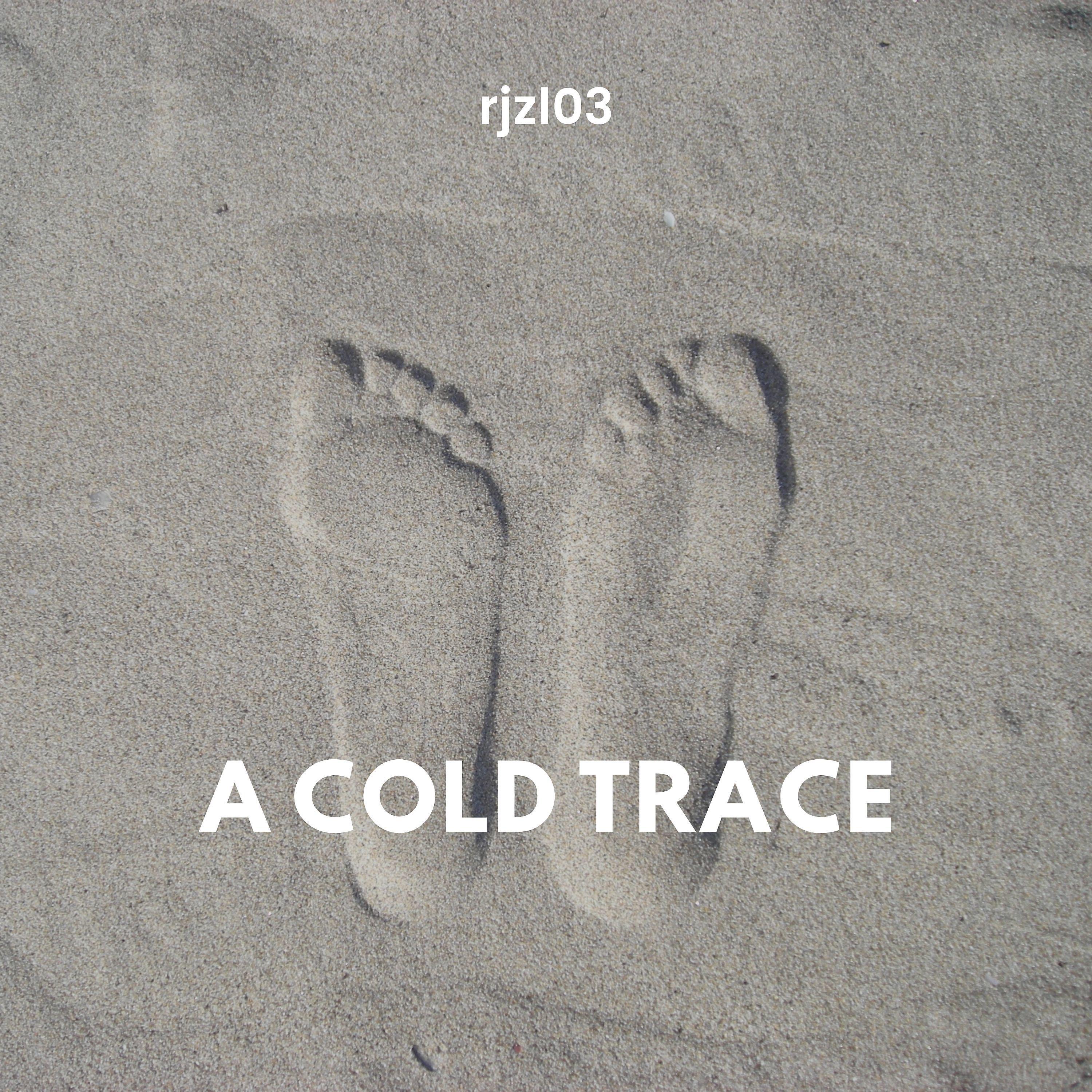Постер альбома A Cold Trace