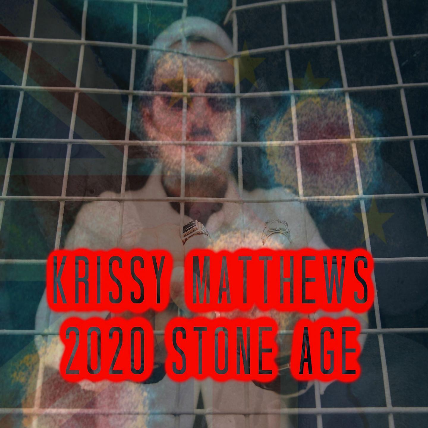 Постер альбома 2020 Stone Age
