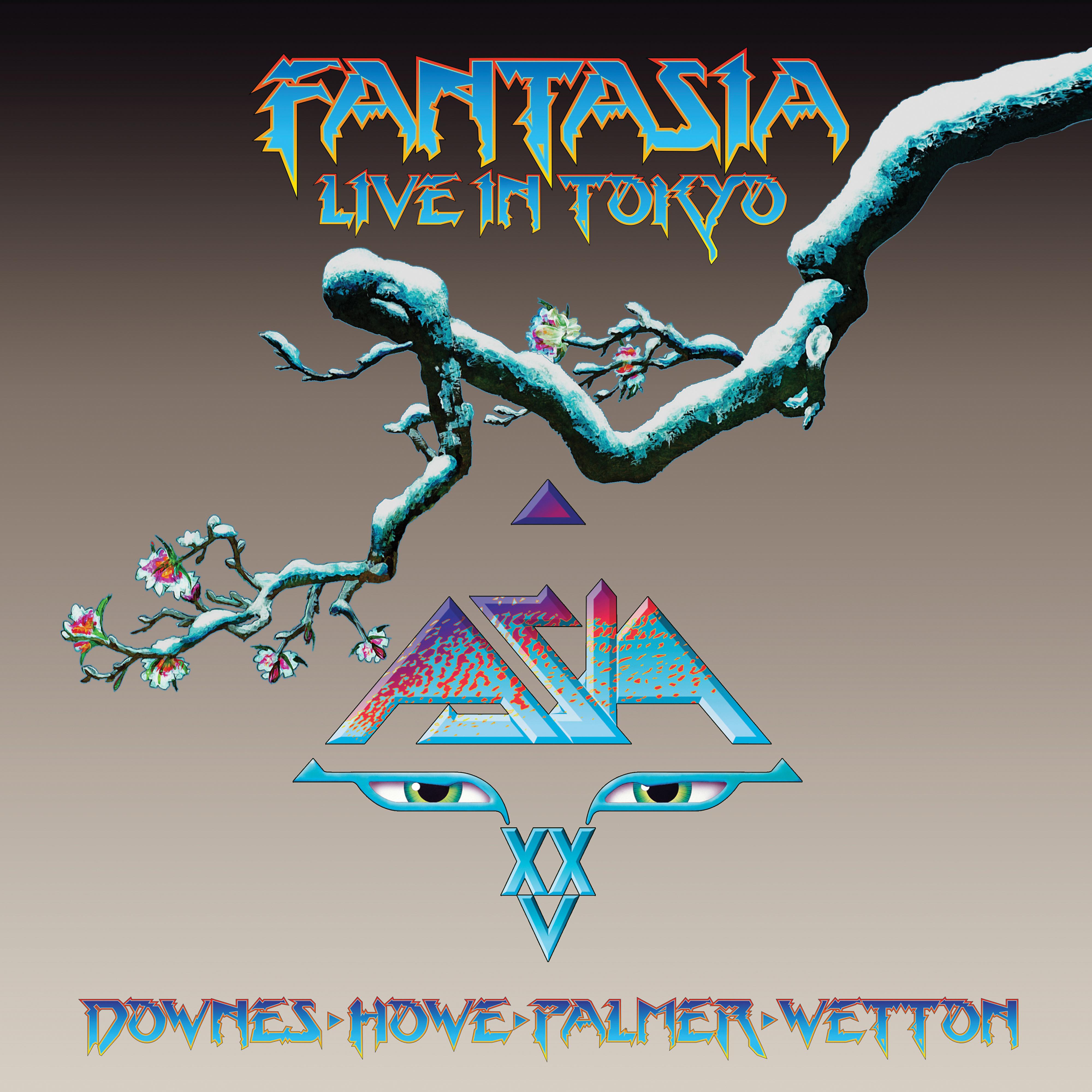 Постер альбома Fantasia: Live in Tokyo