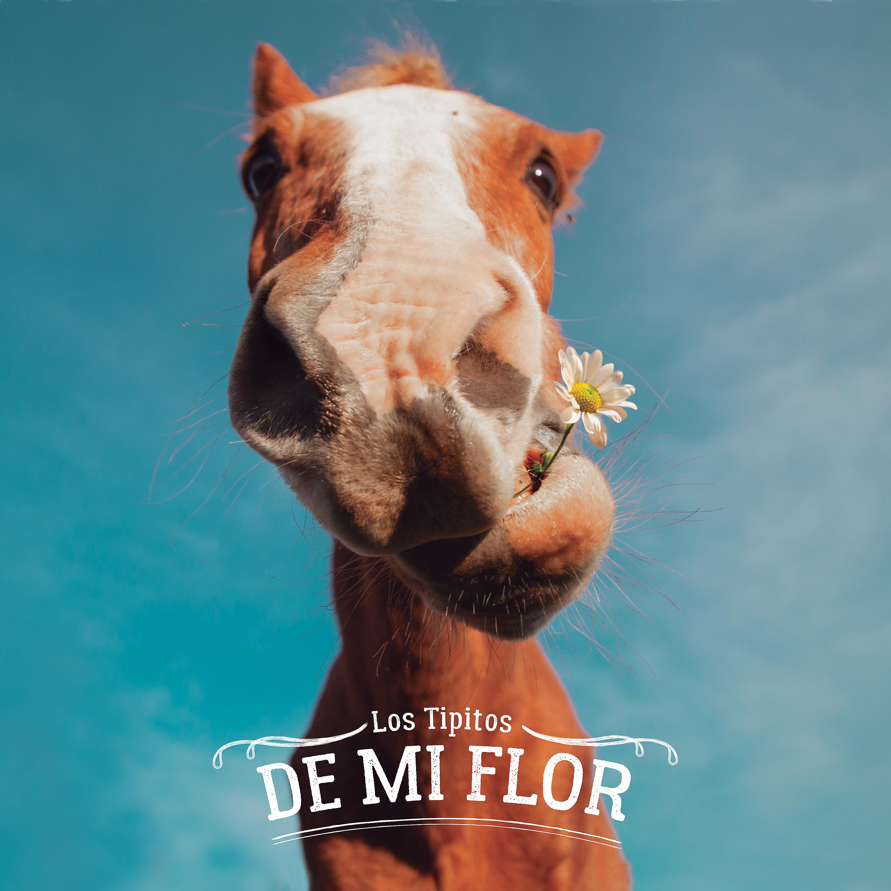 Постер альбома De Mi Flor