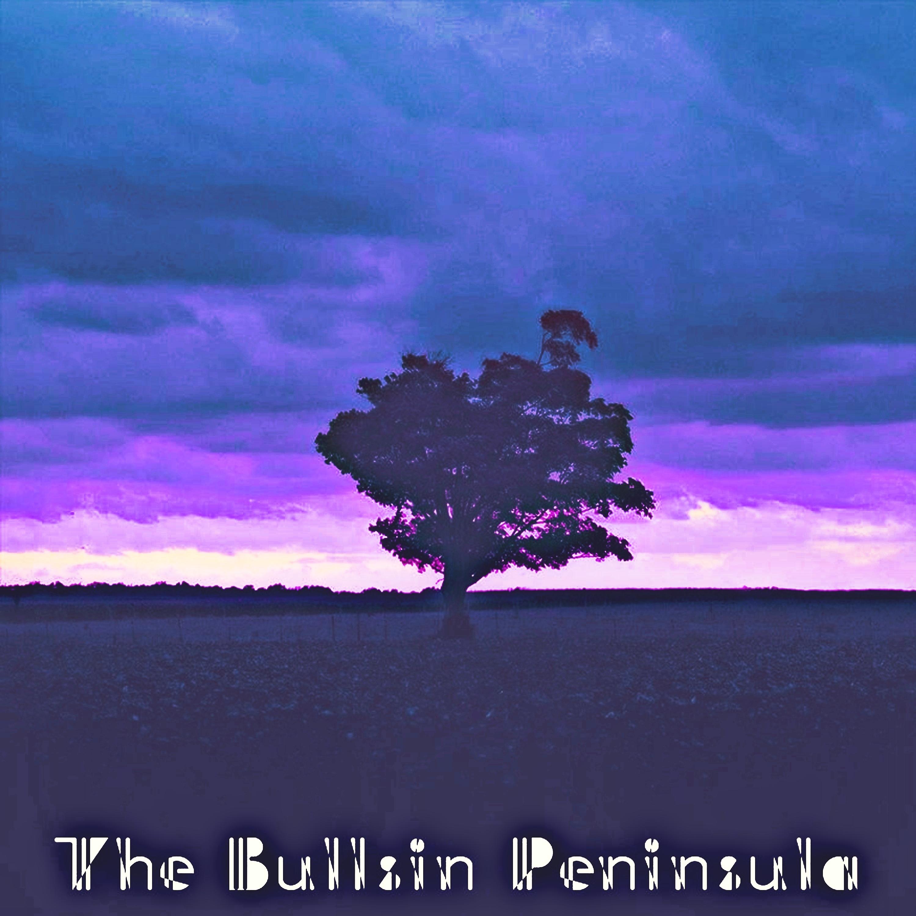 Постер альбома The Bullsin Peninsula